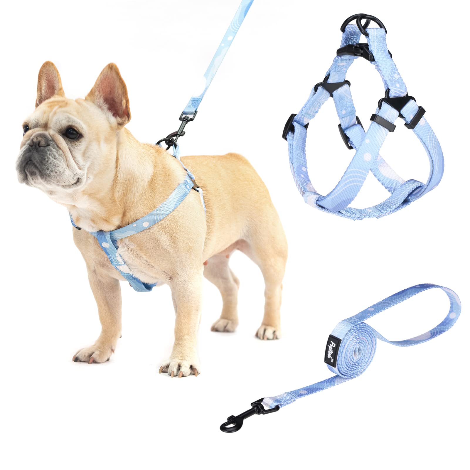 Pupteck Dog Harness And Leash Set No Pull Step In Soft Adjustable Pet Harnesses For Small Medium Dogs Outdoor Walking Training,