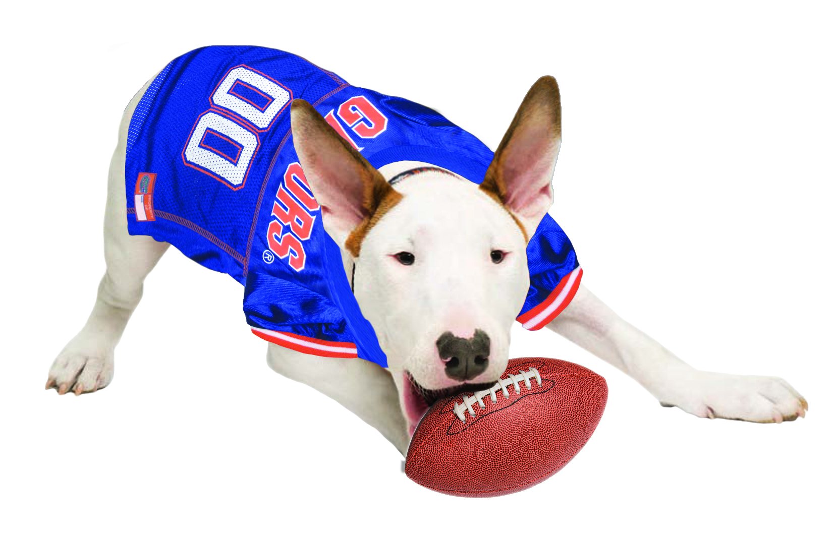 Pets First NCAA College Florida Gators Mesh Jersey for DOGS & CATS, Large. Licensed Dog Jersey with your Favorite Football/Baske