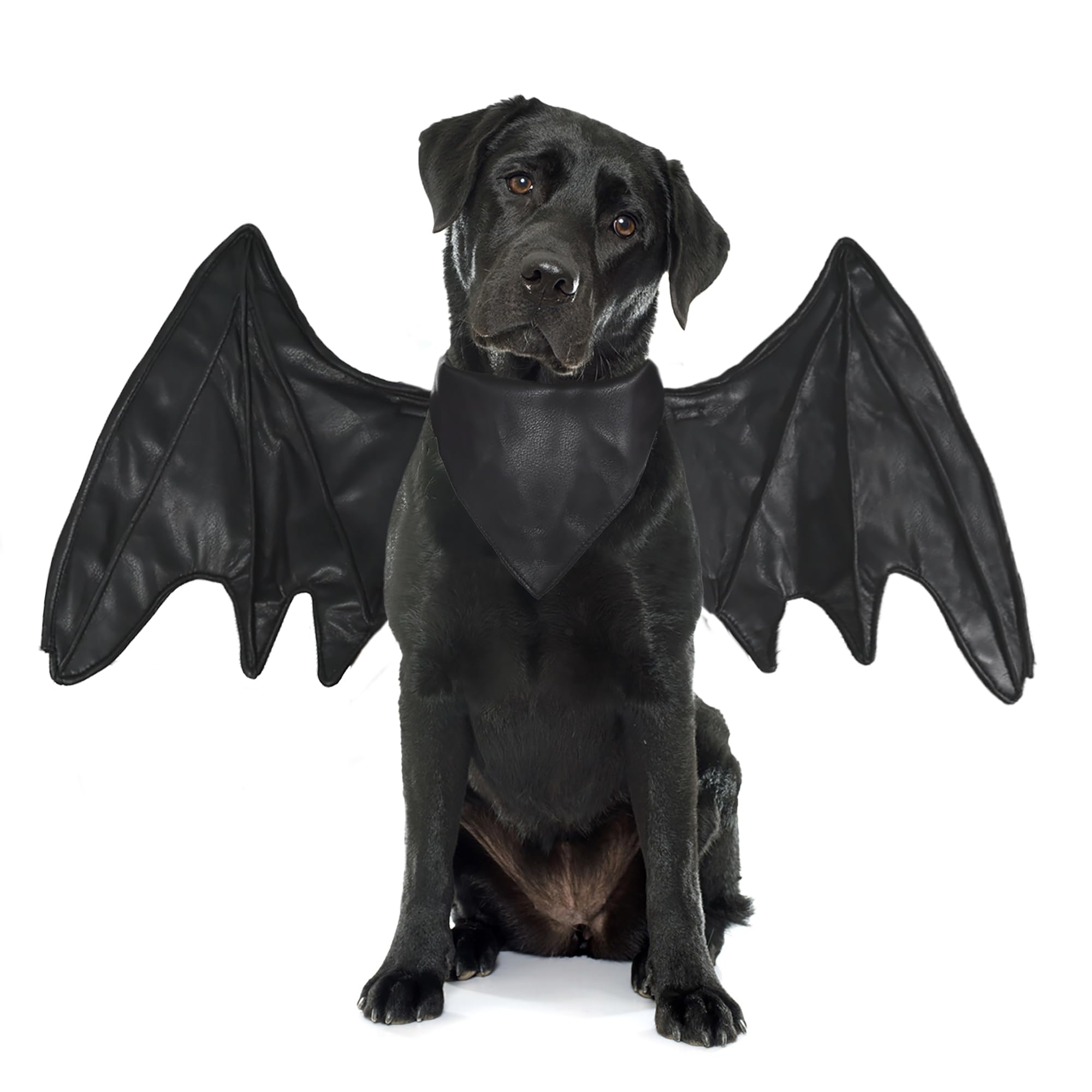 Funny Bat Wing Costumes For Dog, Cute Furry Pet Clothing For Halloween (Black Bat Wing, Size L)