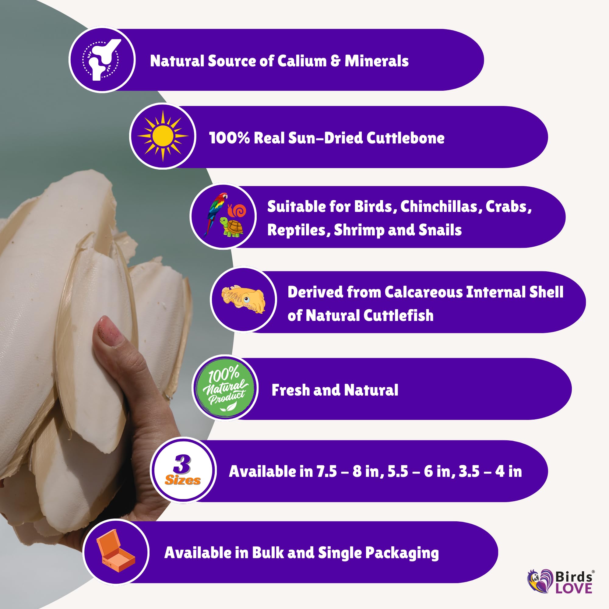 Birds LOVE Natural Cuttlebone | 100% Pure Sun-Dried Calcium Supplement for Birds, Tortoises, Snails & Crabs | Supports Beak & Sh