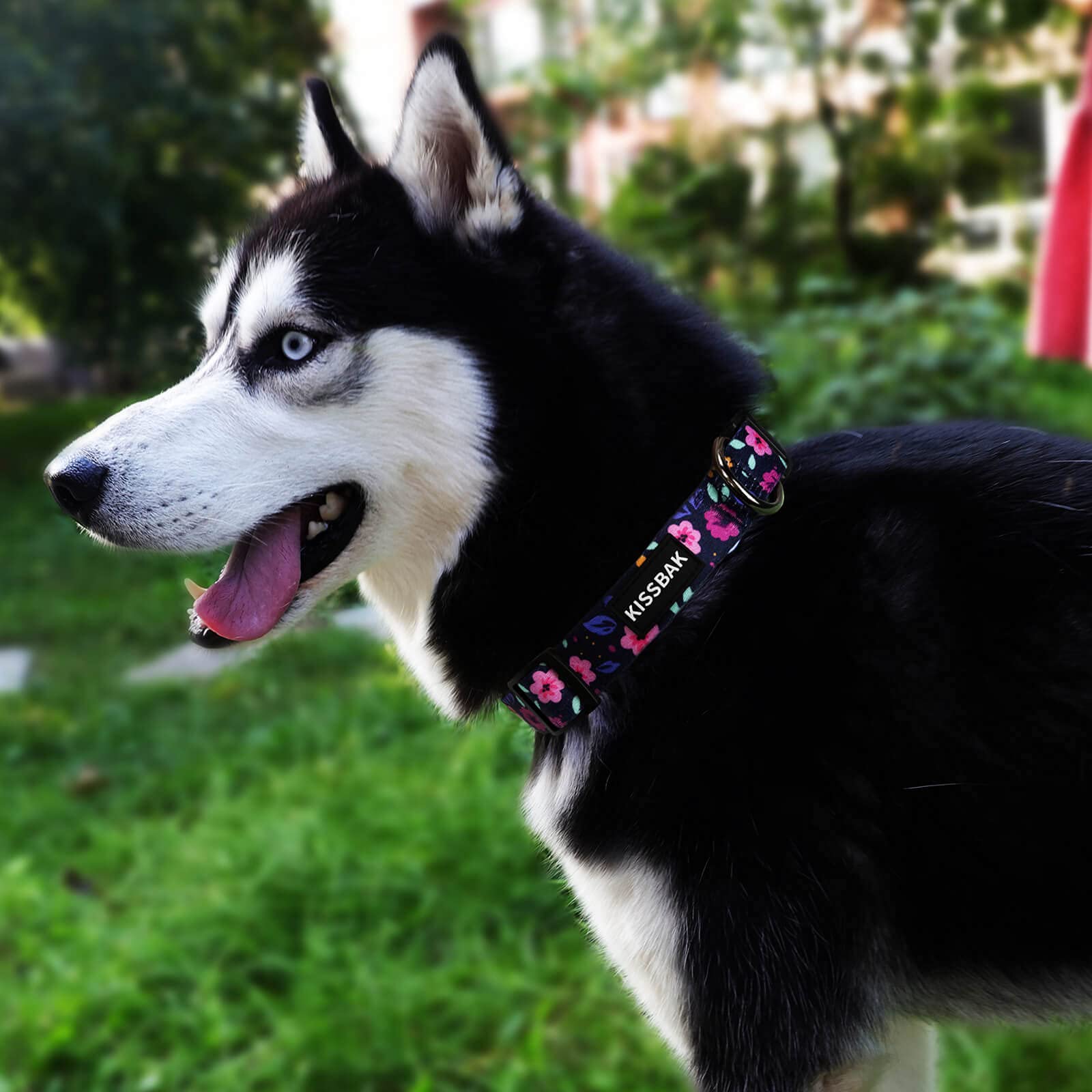 KISSBAK Dog Collar for Small Dogs, Soft Adjustable Floral Polyester, S Size, Model DCQ2101