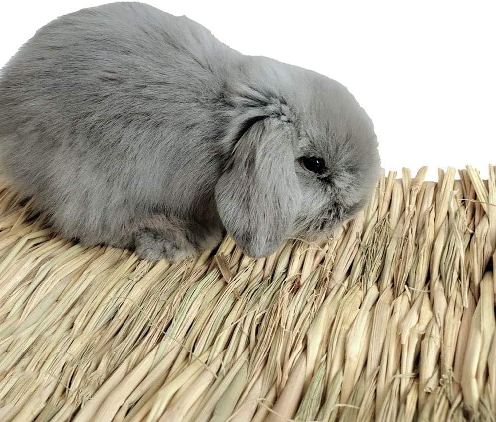 Hamiledyi 15 Pack Woven Bed Mat For Rabbits - Grass Mat & Bunny Bedding Nest - Natural Chew Toy Bed For Guinea Pig Chinchilla Sq