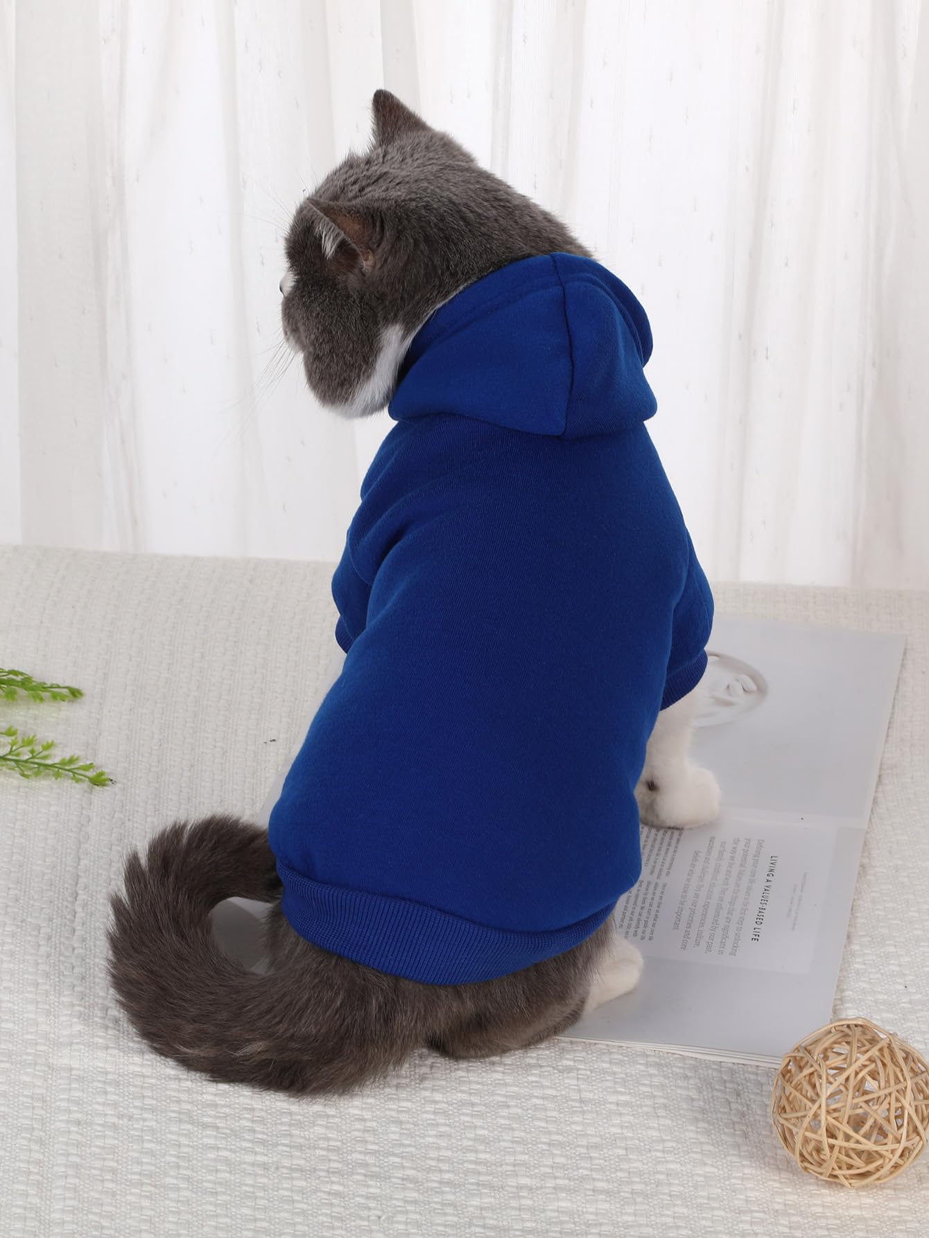 Qwinee Basic Dog Hoodie, Dog Warm Jacket, Cat Apparel, Dog Shirt, Dog Clothes For Puppy Kitten Small Medium Dogs Cats Royal Blue