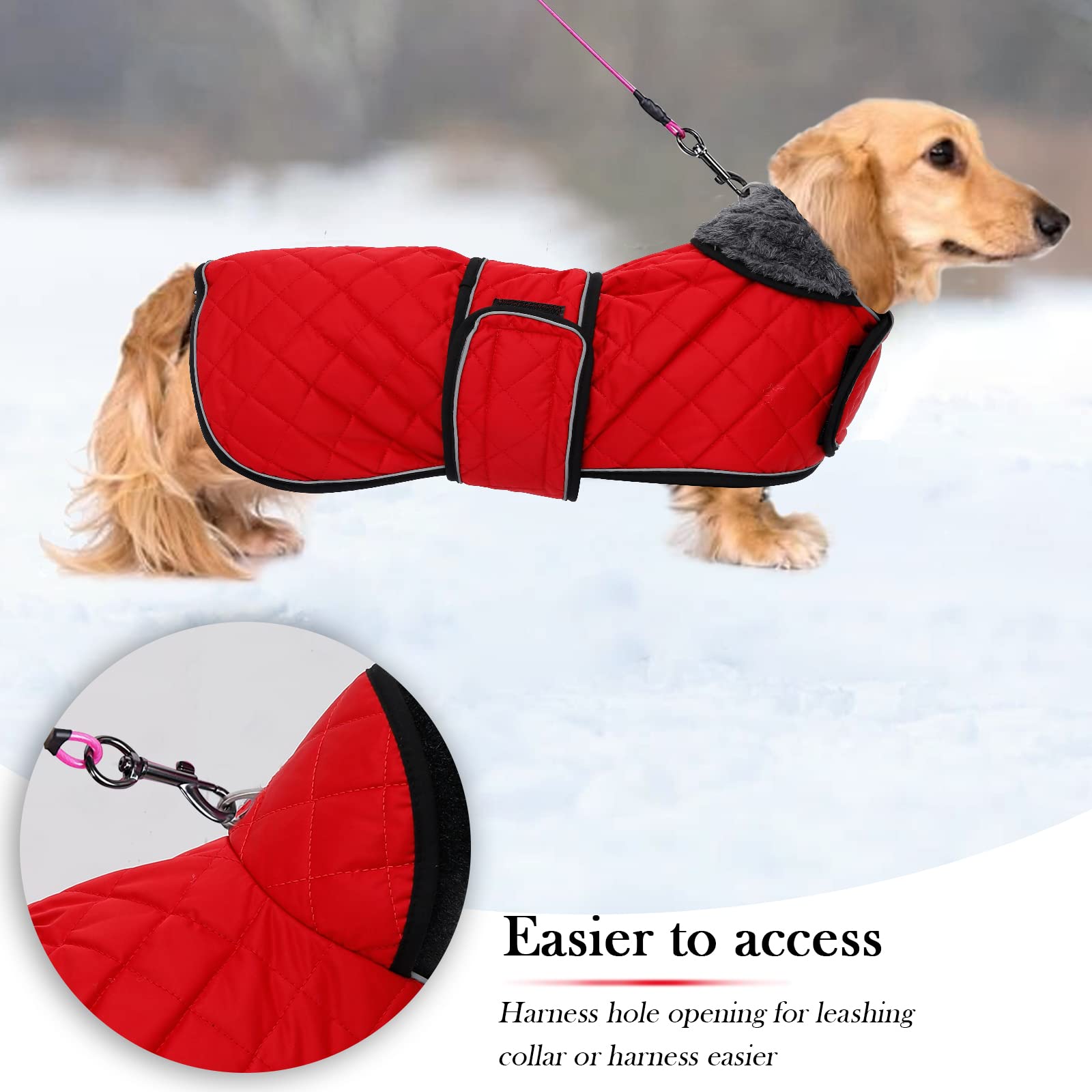 Warm Thermal Quilted Dachshund Coat, Dog Winter Coat With Warm Fleece Lining, Outdoor Dog Apparel With Adjustable Bands For Medium, Large Dog-Red-L