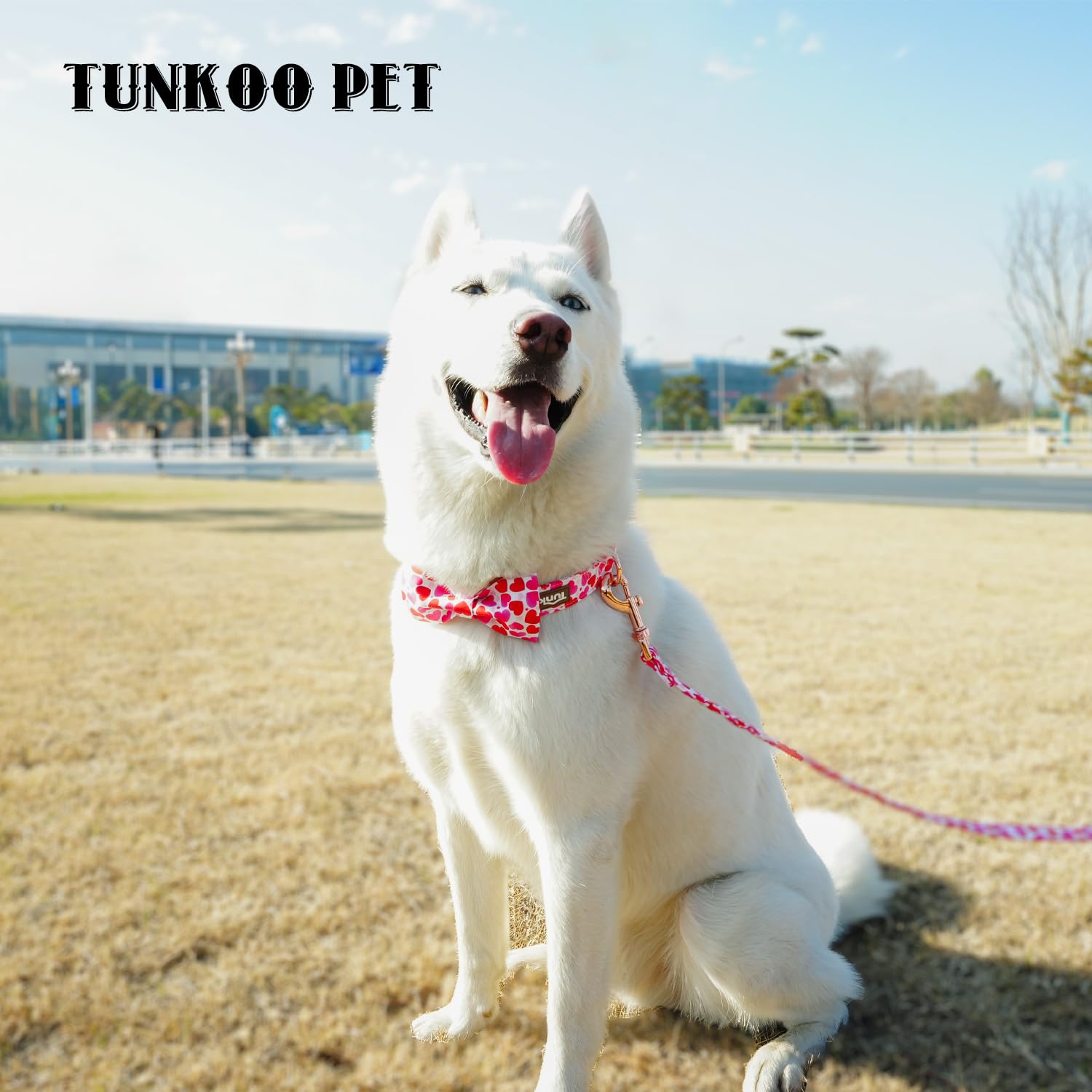 Tunkoo Valentine'S Day Dog Collar With Bow Tie - Adjustable And Adorable Pet Collar - Red Hearts With Rose Gold Buckle For Large
