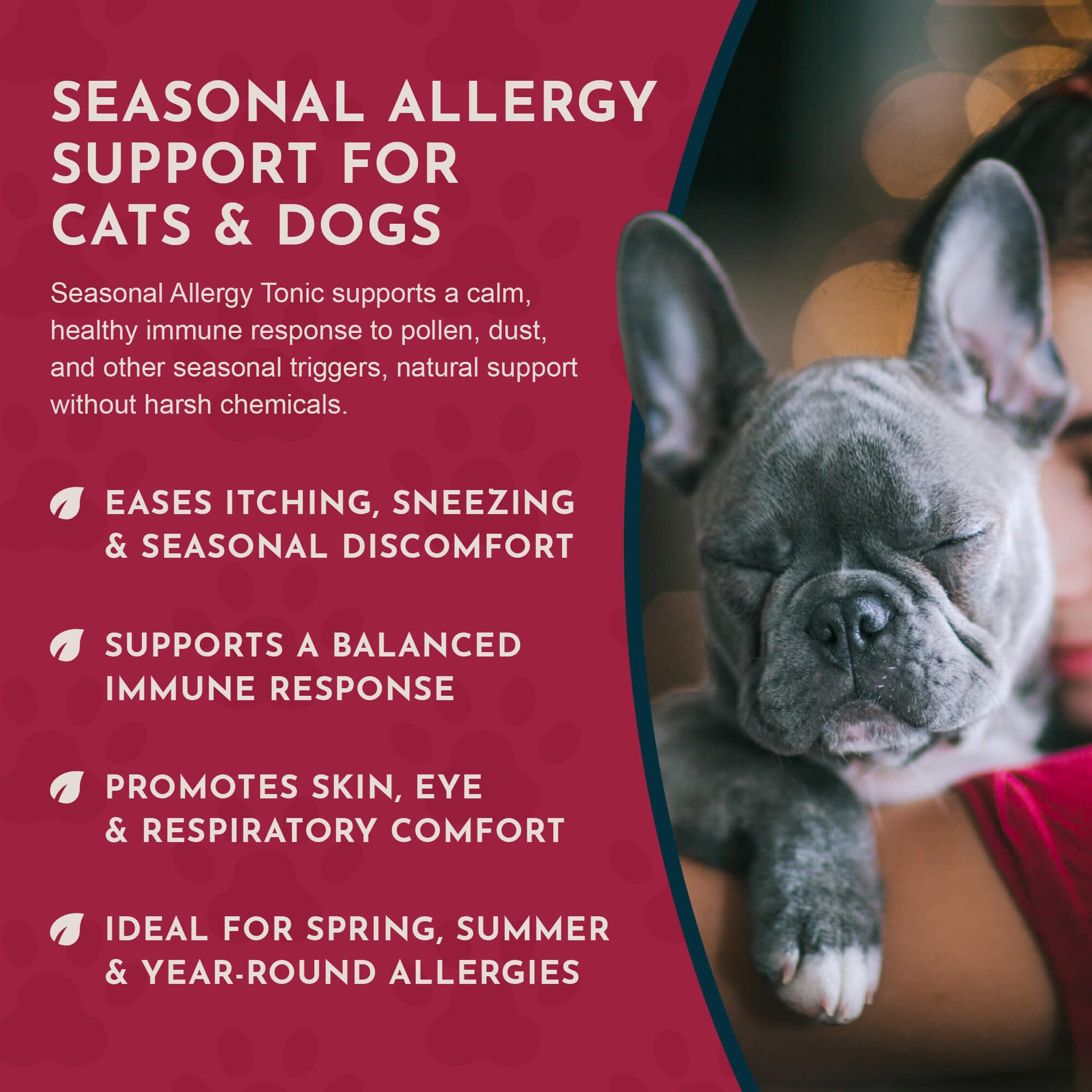 Animal Essentials Seasonal Allergy Herbal Supplement for Dogs & Cats, 2 Fl Oz - Sweet Tasting, Made in the USA, Model 9000724