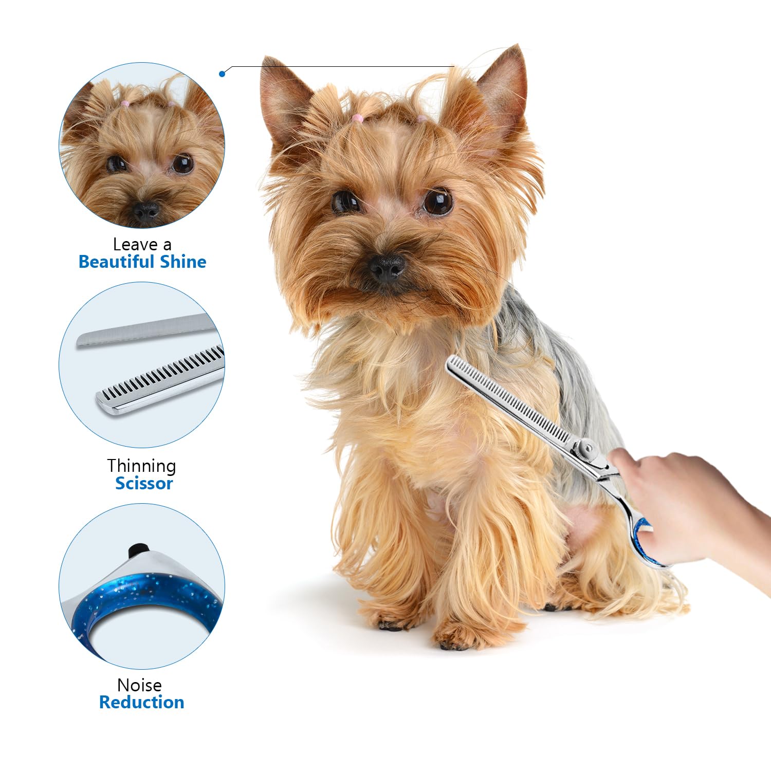 Laazar Pro Shears Thinning Pet Grooming Shear - 6.5 42 Teeth Scissors For Dogs Cats And Pets