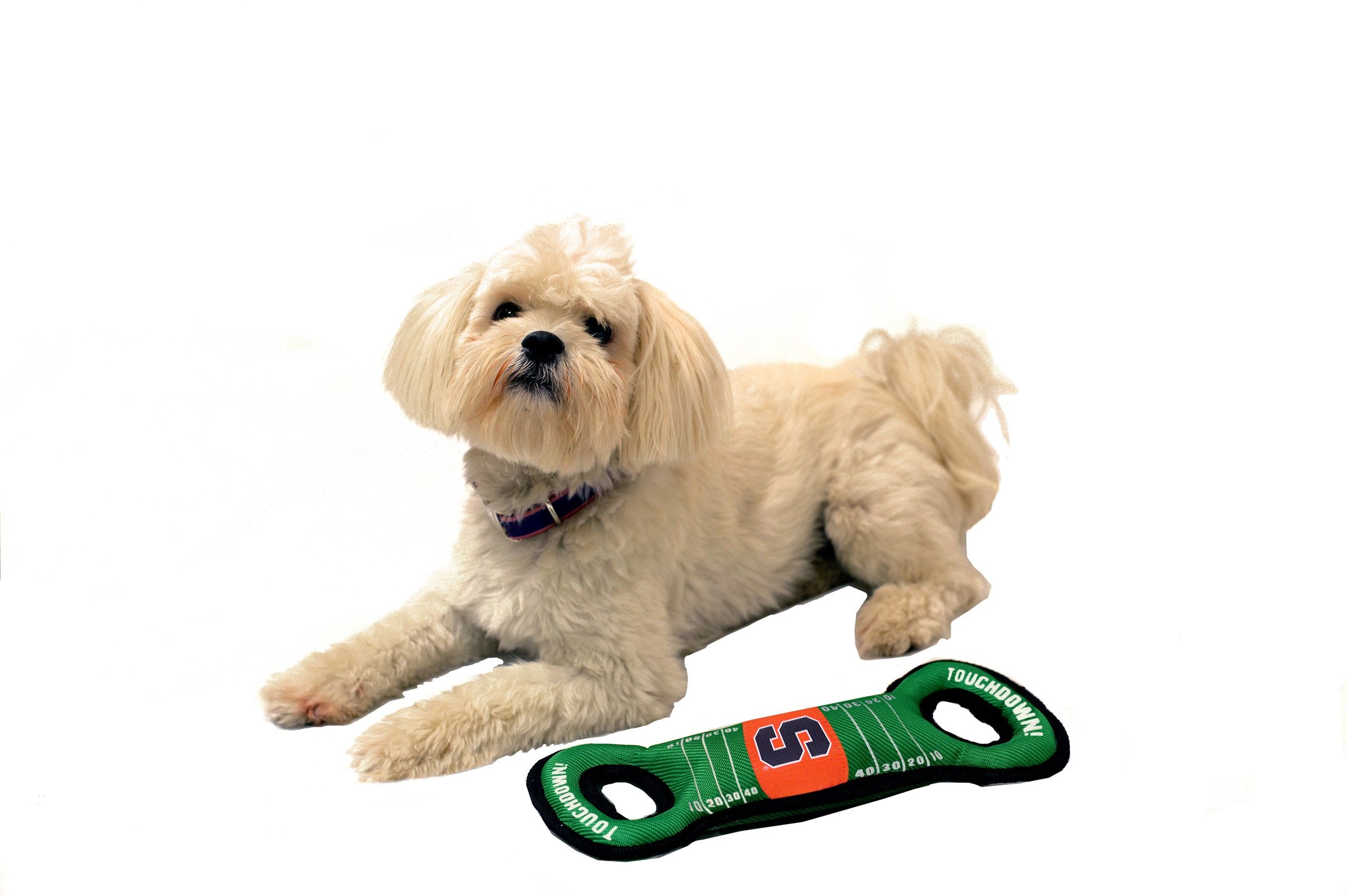 Pets First Ncaa Football Field Dog Toy With Squeaker. - Syracuse Orange - For Tug, Toss, And Fetch. - Tough& Durable Pet Toy