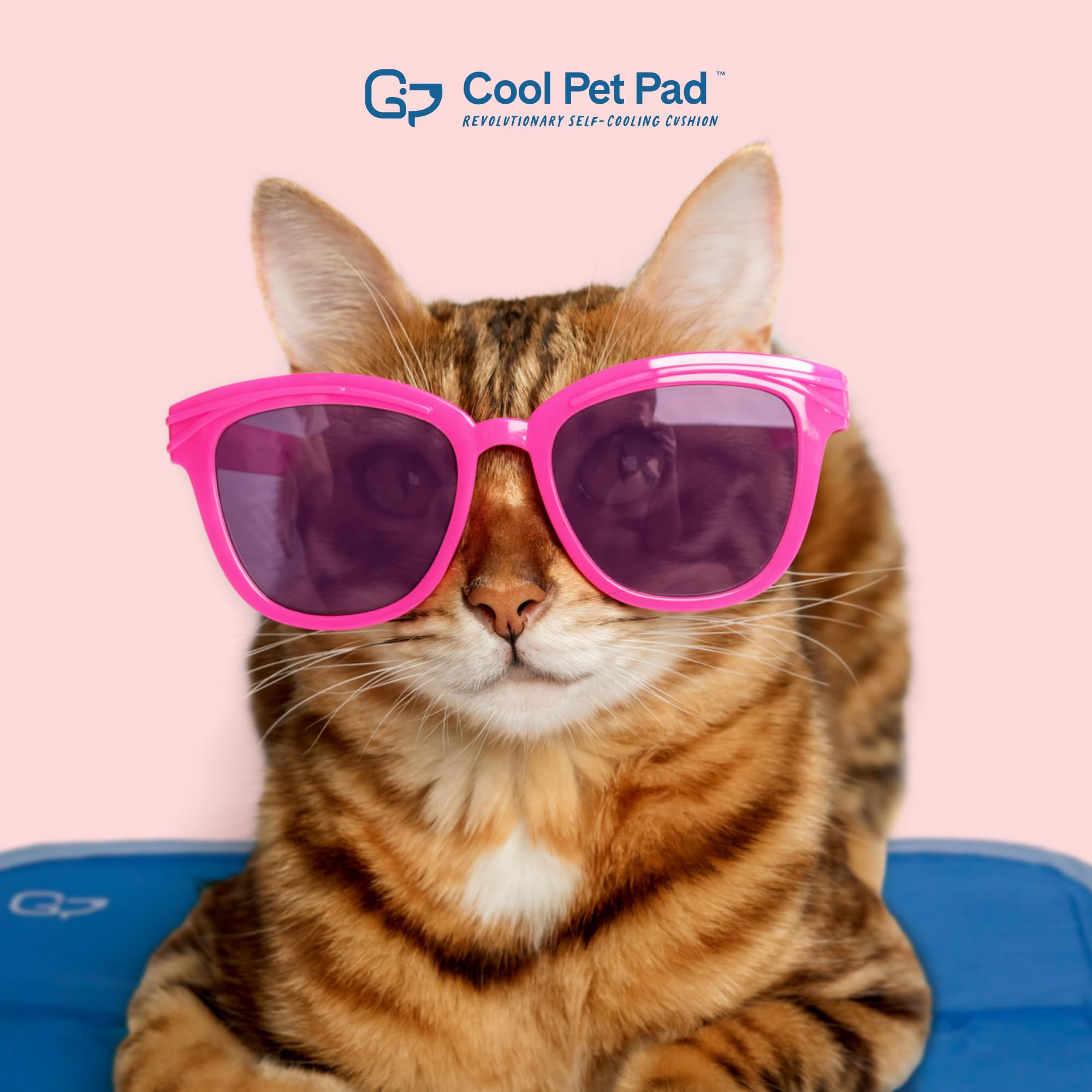 The Green Pet Shop Cool Pet Pad - Large, Blue - Self-Cooling Gel Mat for Dogs & Cats (46-80 lbs) - Model 48394
