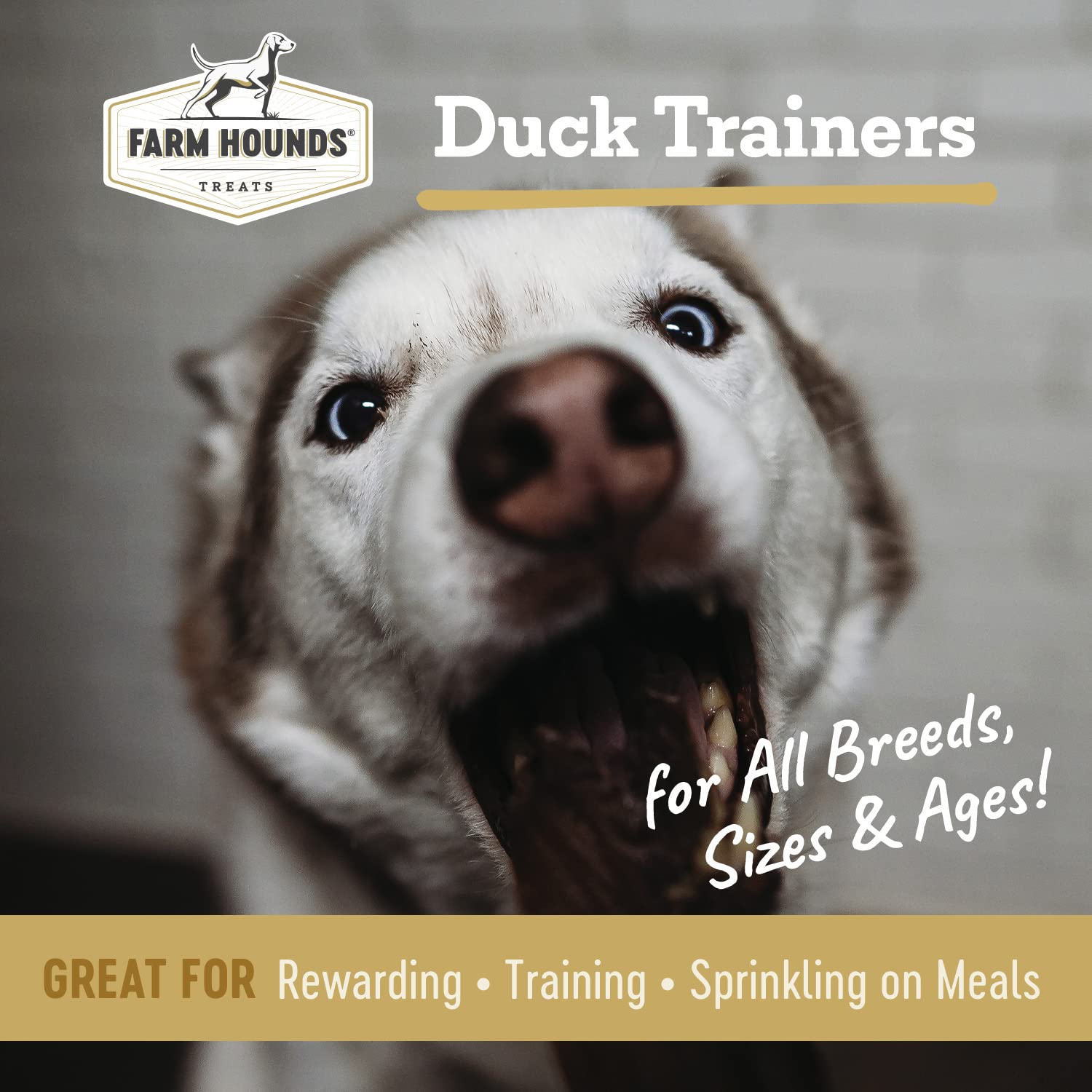 Farm Hounds - Duck Trainers - Premium Natural Jerky for Dogs - Made from 100% Humanely Raised Duck - Easy-Break - Great for Trai