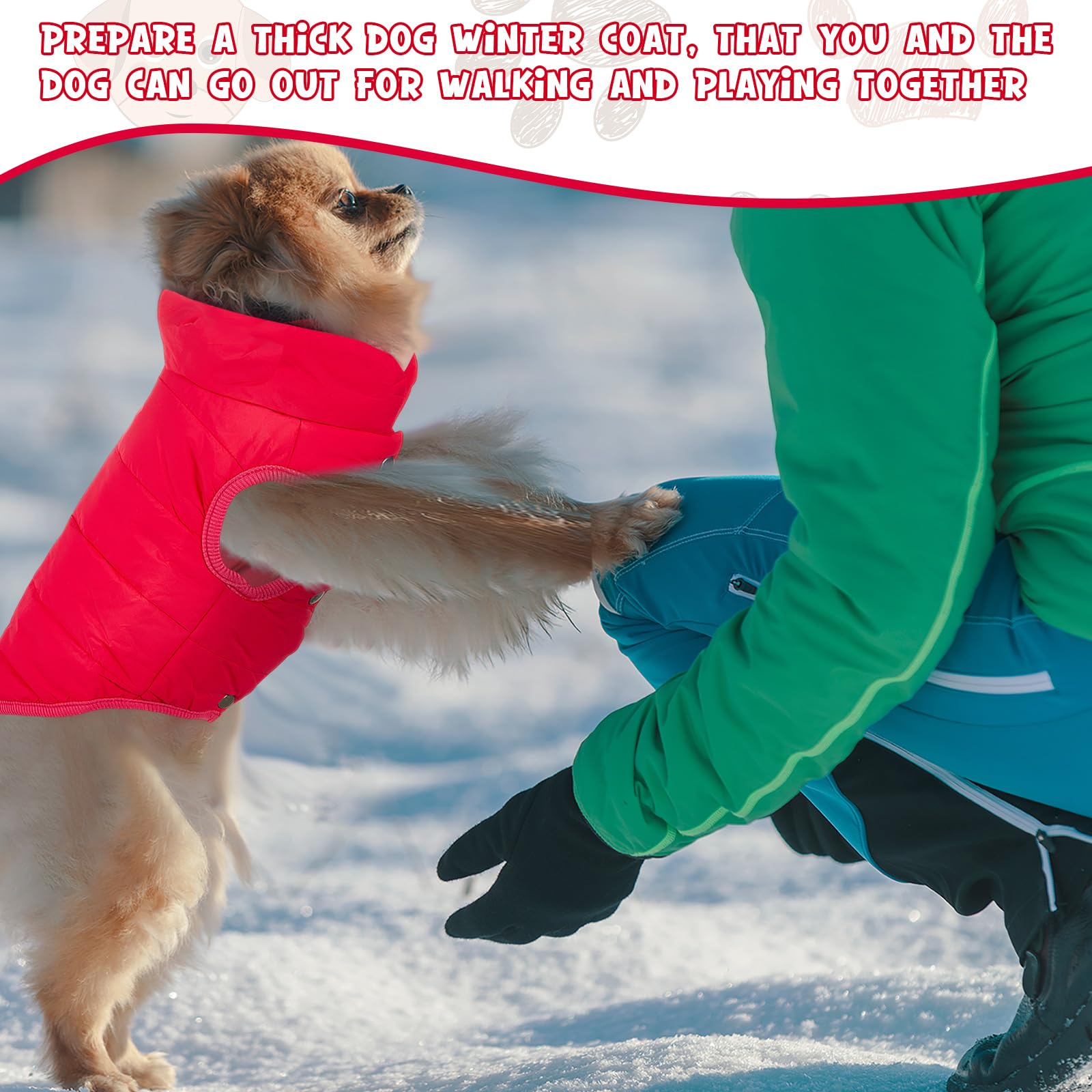 Syhood 2 Pieces Dog Jacket 2 Layers Fleece Lined Dog Jacket Warm Soft Windproof Small Pet Coat For Winter Cold Weather(Medium,Re