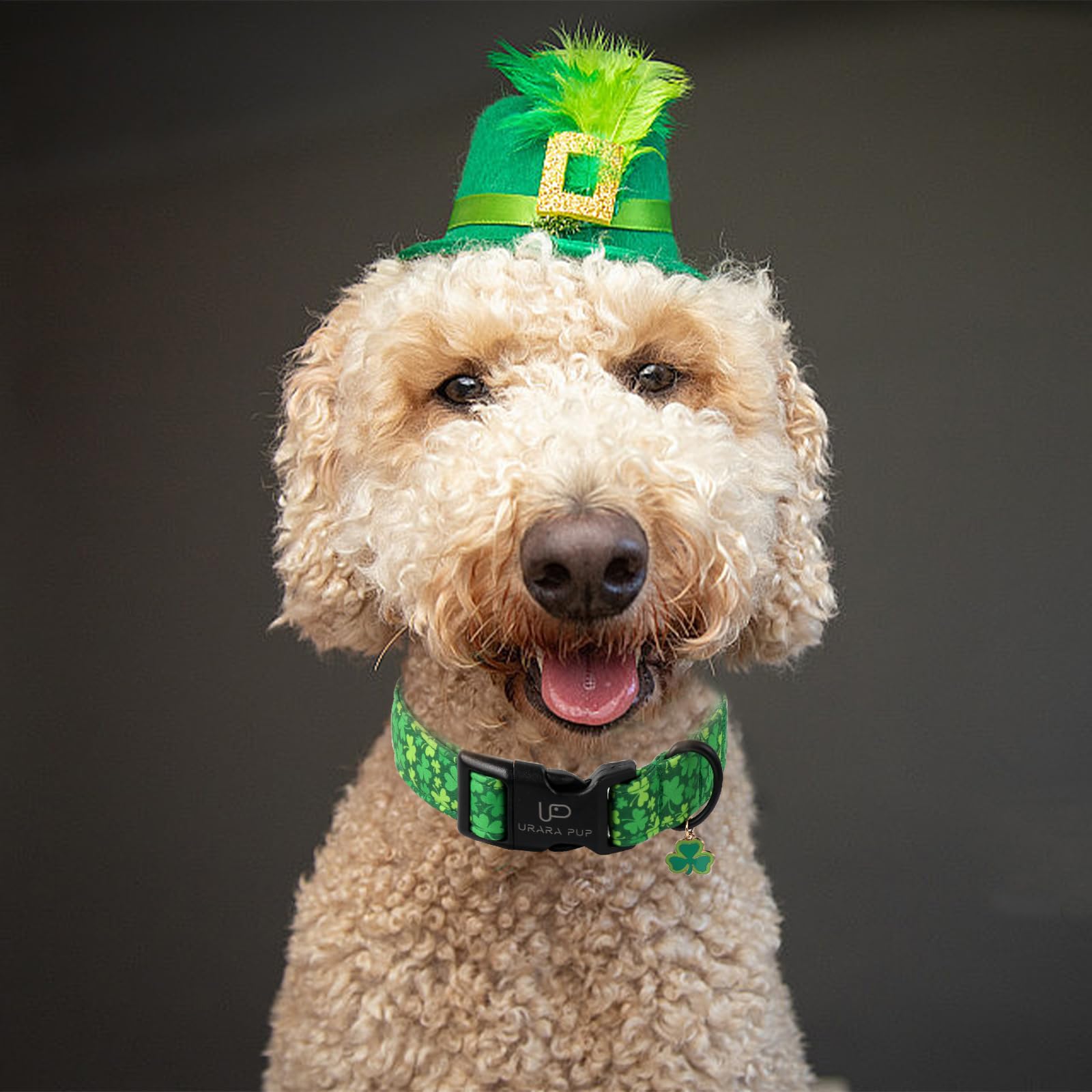 Up Urara Pup St. Patrick'S Dog Collar, Lucky Clover Pet Collar With Quick Release, Comfortable Adjustable Shamrock Puppy Collar