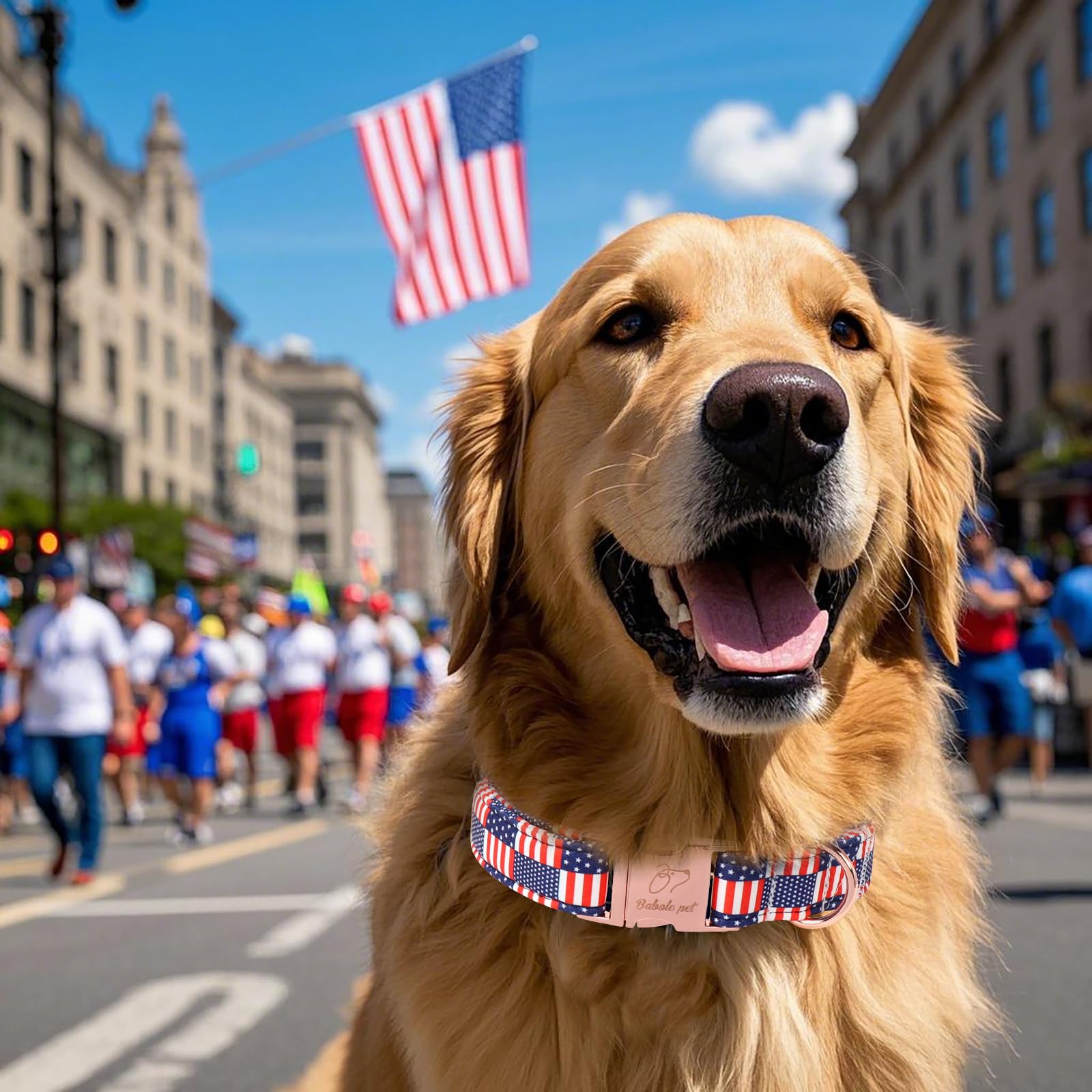 Babole Pet 4Th Of July Dog Collar - Us Flag Patriotic Dog Collars For Puppy & Tiny Dogs, Adjustable Independence Day Stars & Str