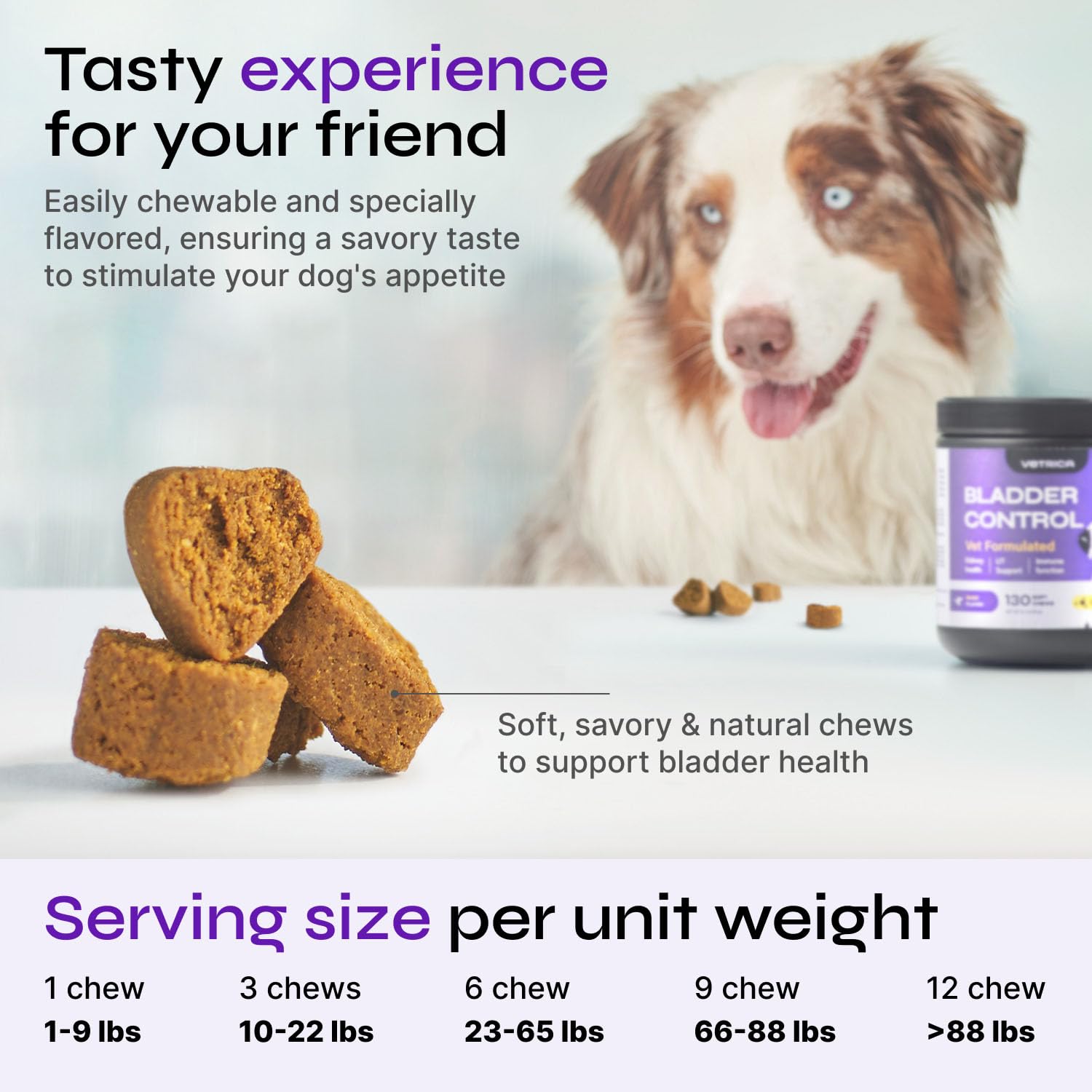 Dog UTI Treatment - Bladder Control Cranberry Chews - Cranberry Supplement for Immune Function, Urinary Tract, Bladder & Kidney