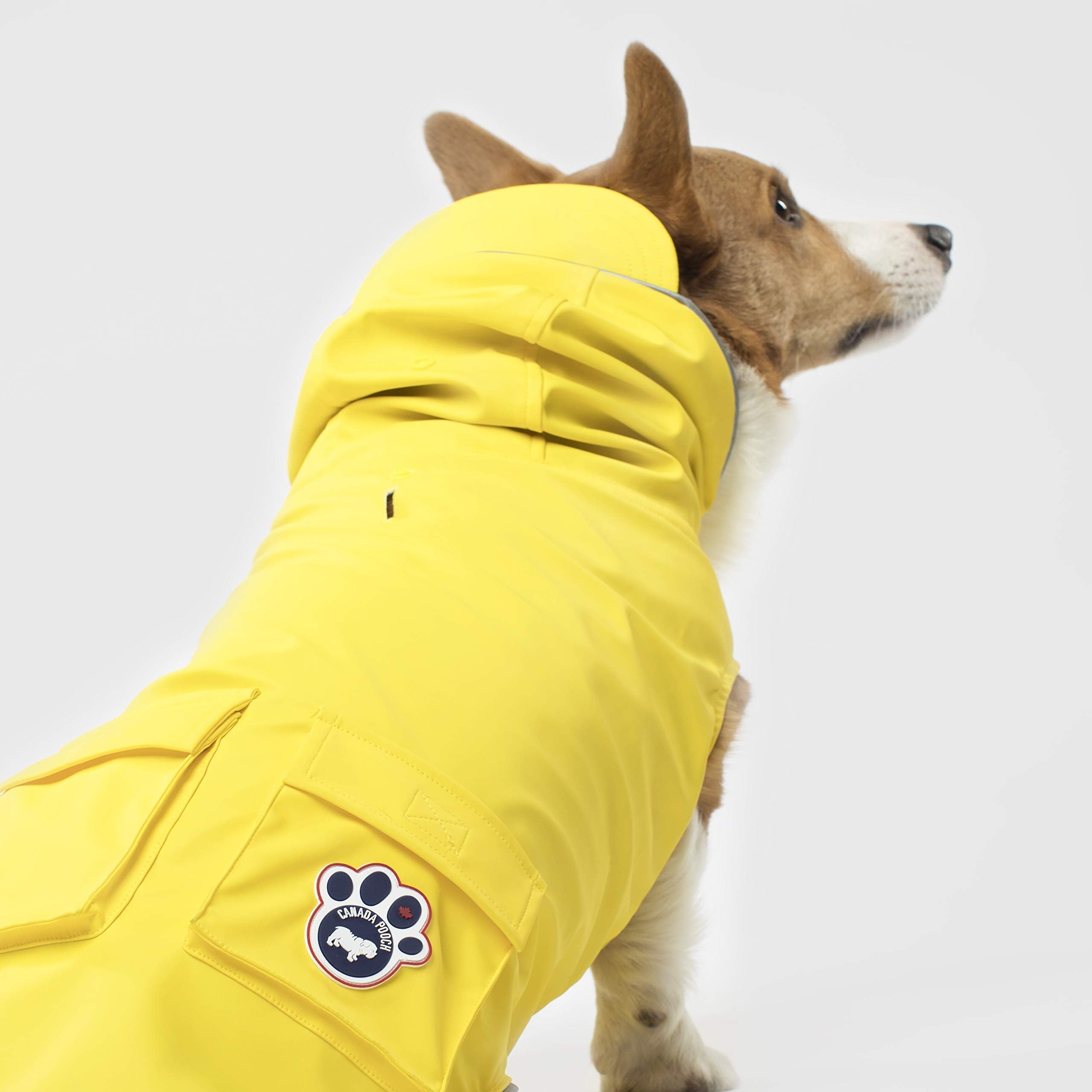 Canada Pooch Yellow Dog Torrential Tracker, X-Small