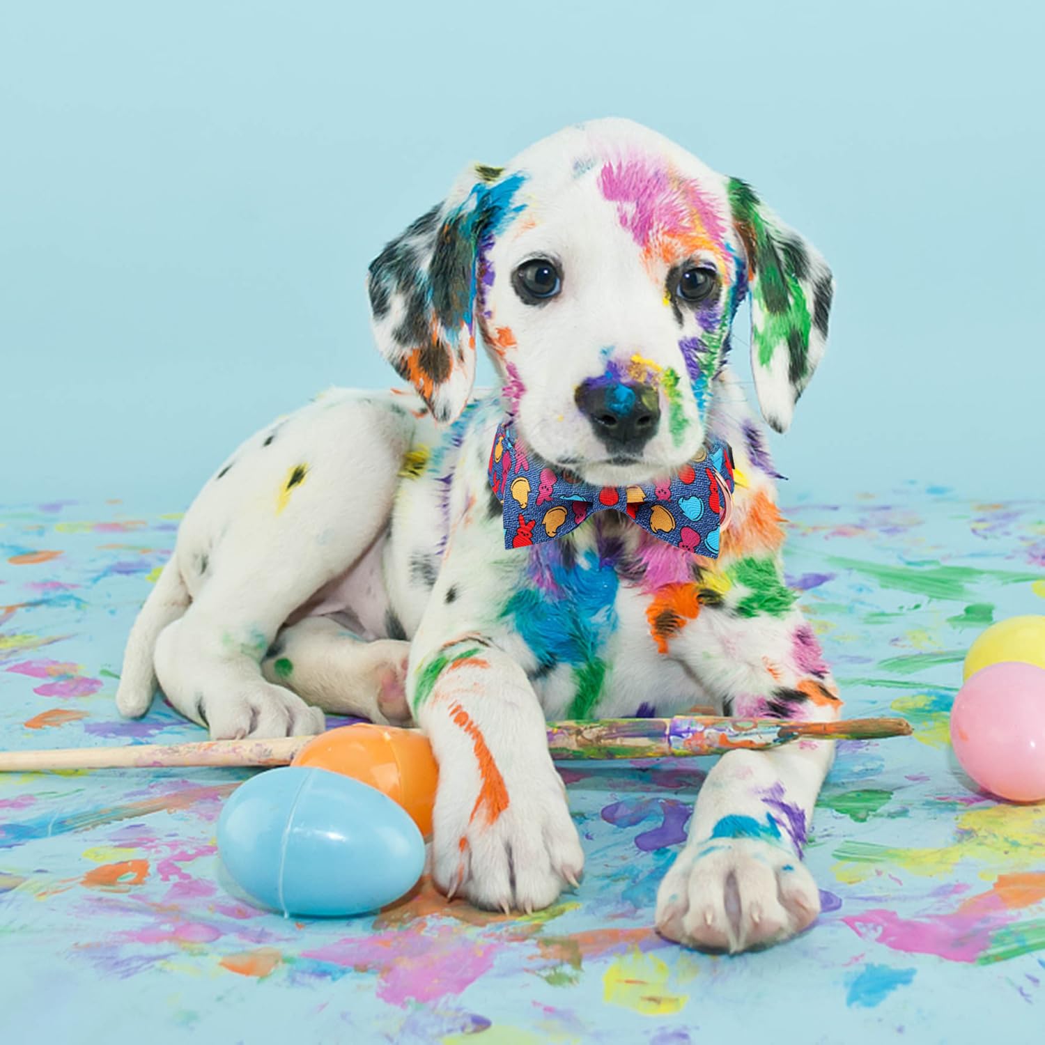 Maca Bates Easter Day Dog Collar With Bow Bowtie Egg And Bunny Dogs Bow Tie Collars Breakaway Soft Cute Adjustable Blue Eggs Col