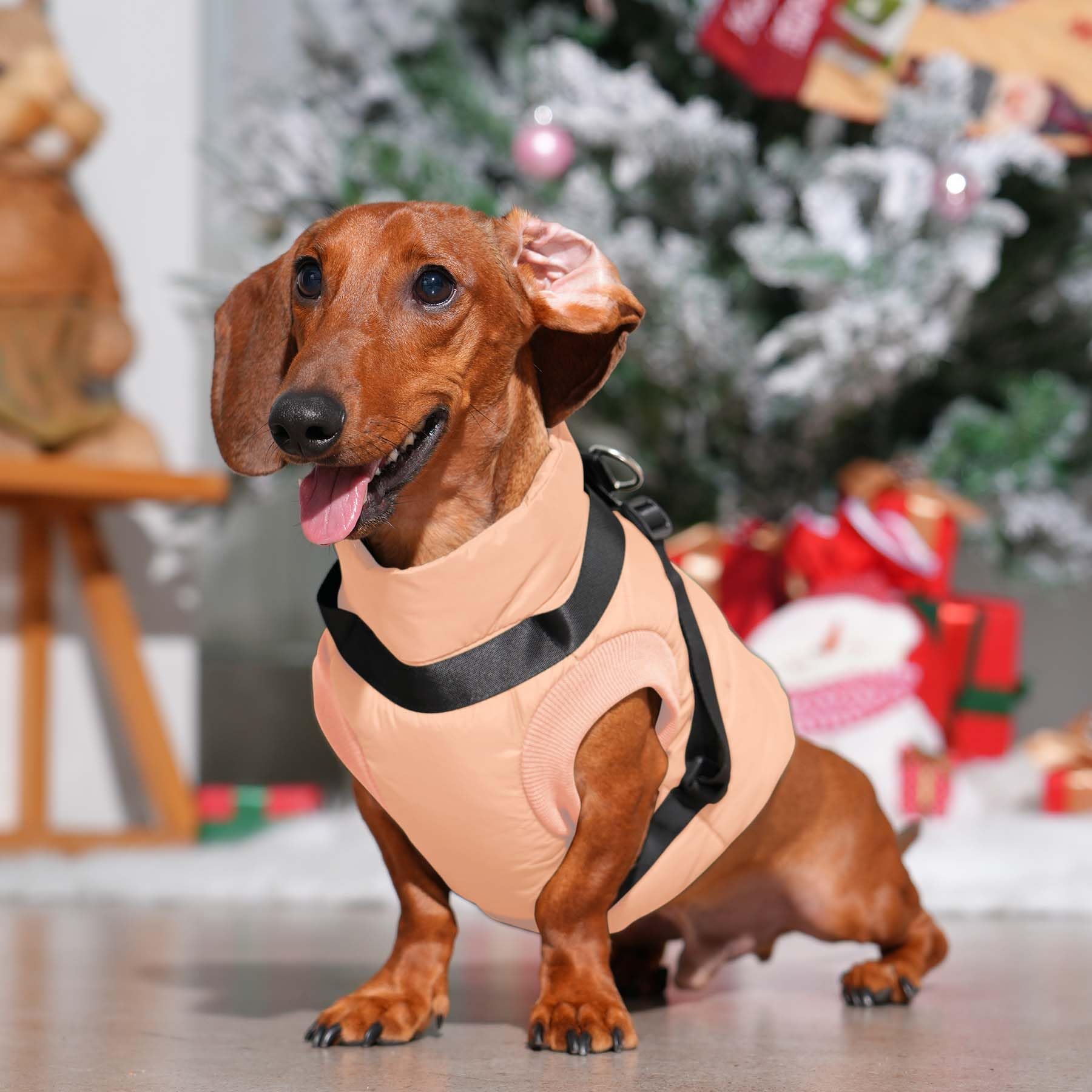 Joydaog Dog Jacket With Harness,Fleece Lined Warm Puppy Coat For Winter,Soft Windproof Small Dog Vest,Lightorange S