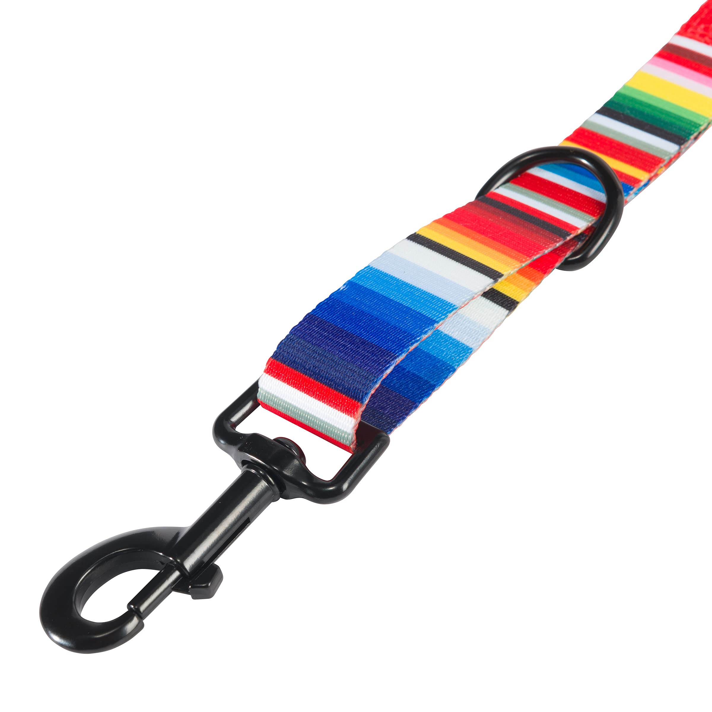 Hooey Nomad Dog Leash, Durable Polyester Webbing Leash With Graphic-Inspired Prints, Serape Tijuana, 6'