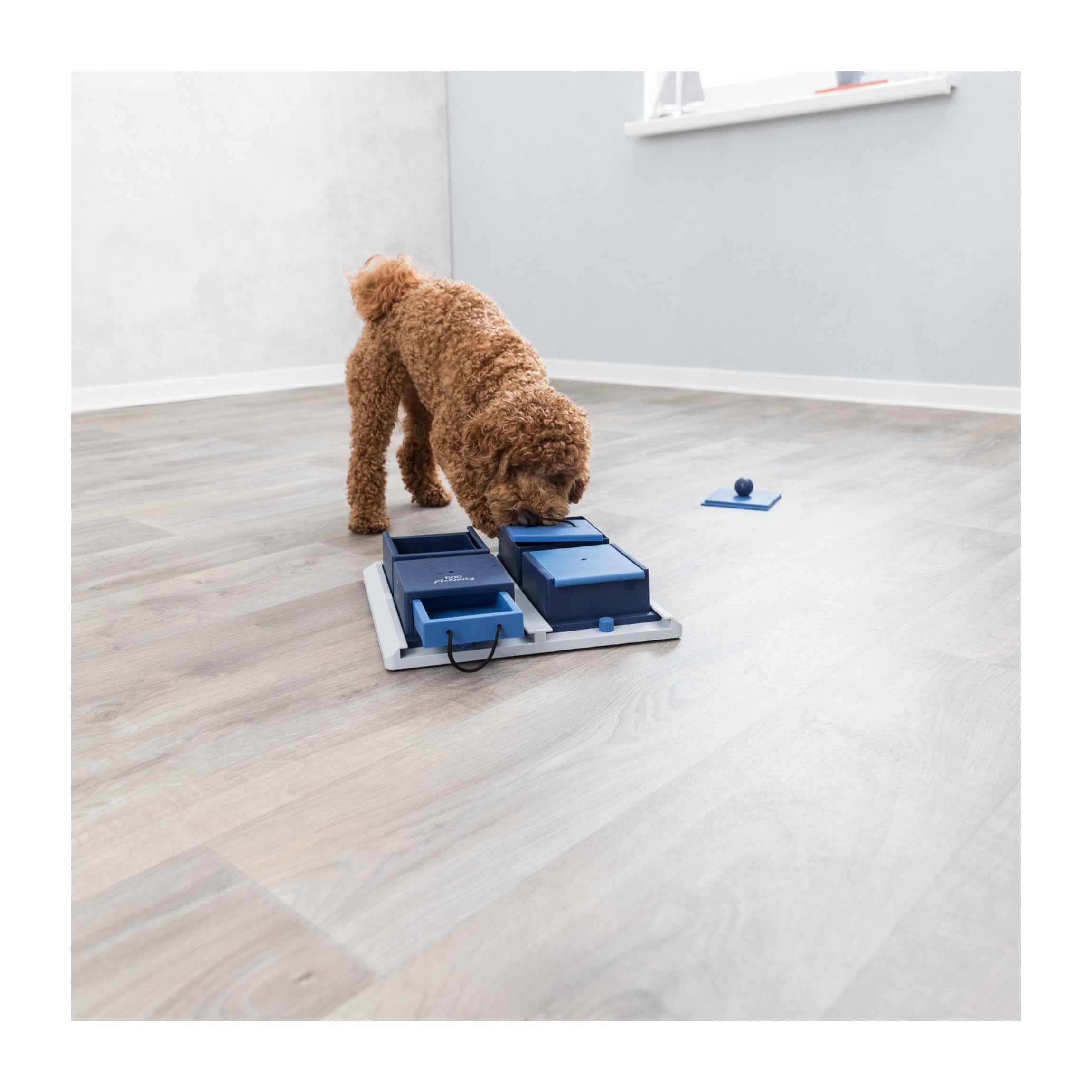 TRIXIE Poker Box 1 Strategy Game - Intermediate Dog Puzzle Toy, Level 2, Rubber Material, Interactive Enrichment