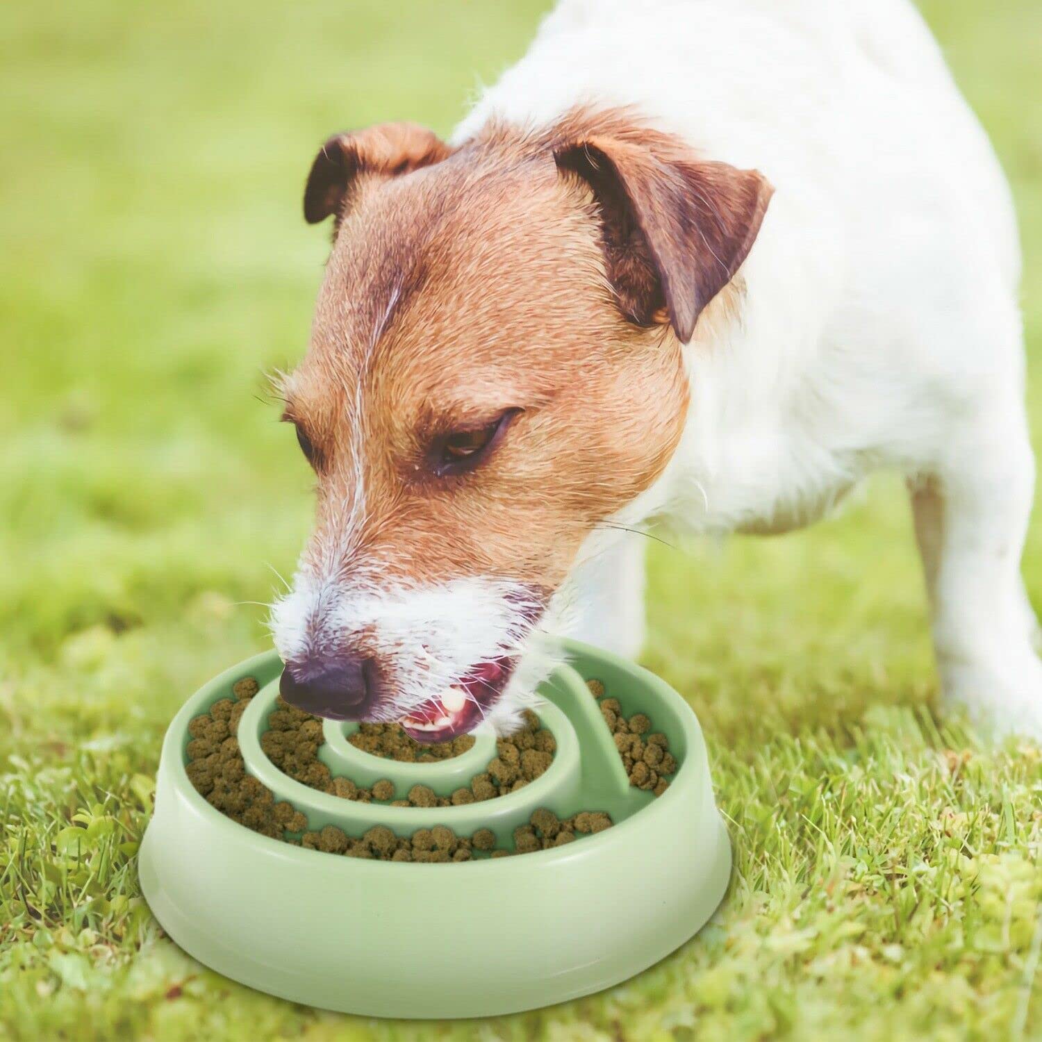 Pets Empire Slow Feeder Dog Bowl AntiSlip Pet Cat Puppy Food Dish Water Feeding Bowl1 Piece (Color May Vary)