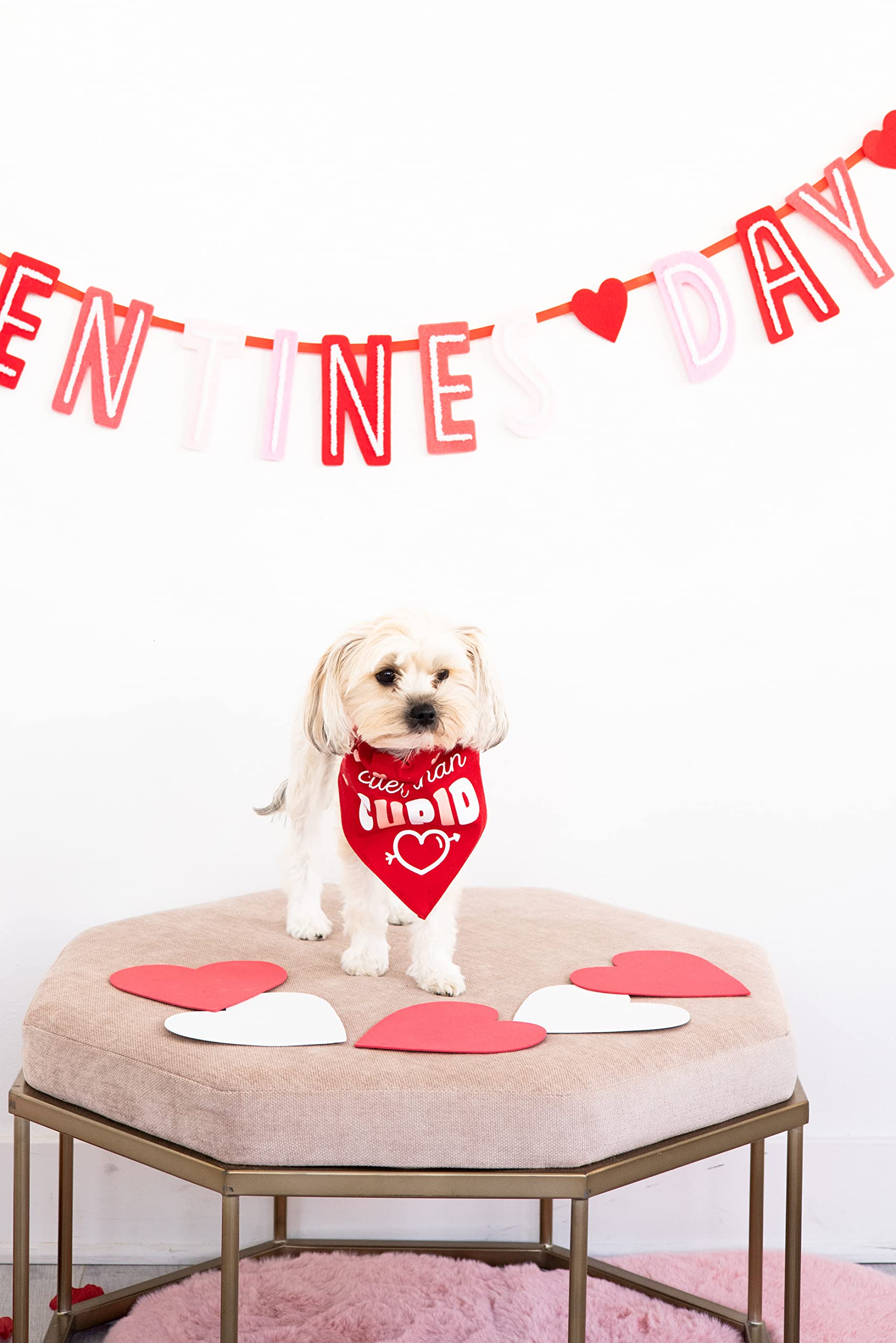 Pearhead Holiday Pet Bandana, Valentine'S Day Outfit For Pets, Slide-On Bandana, Dog Or Cat Apparel Accessory, Cuter Than Cupid, Small/Medium, S/M