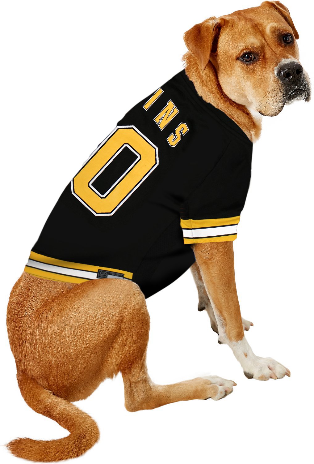 Pets First NHL Boston Bruins A Premium Big Jersey for Dogs & Cats, Black, XX-Large (BRU-4006-XXL)