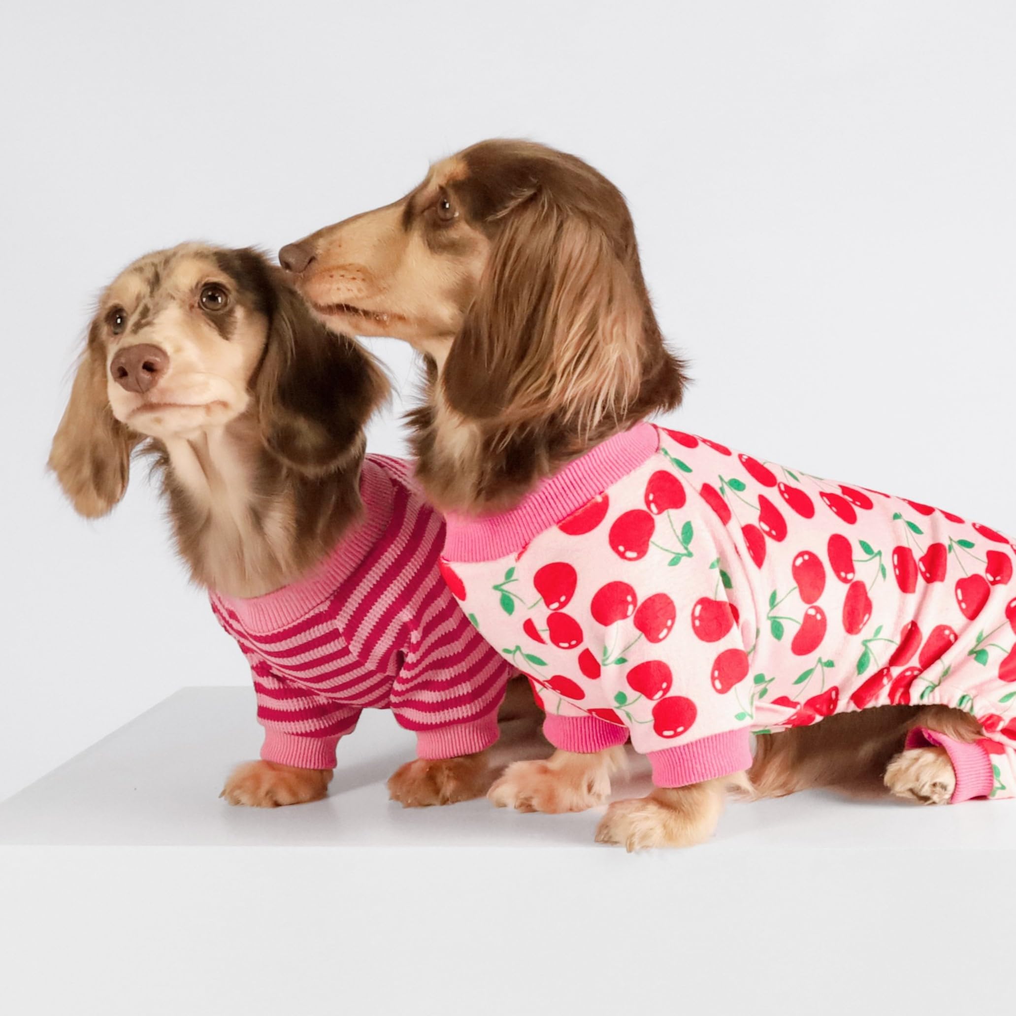 Fitwarm Cute Cherry Dog Pajamas, Warm Dog Onesie With Feet, Dog Clothes For Small Dogs Girl, Fleece Pet Outfit, Pink, Red, Small