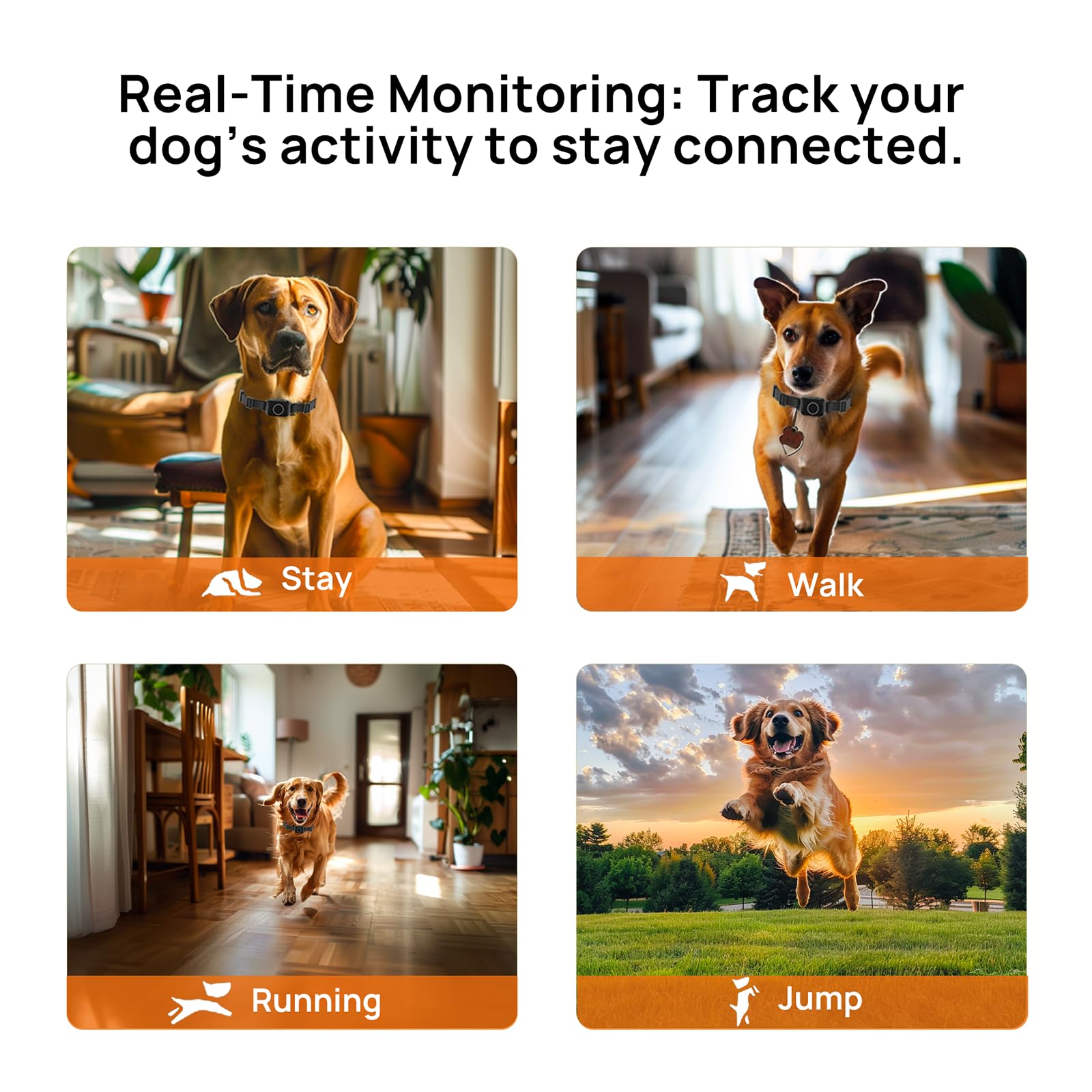 KALESMART Wireless Dog Training Collar with Remote Control, IPX7 Waterproof Electric Dog Fence with 3 Training Modes, Security L