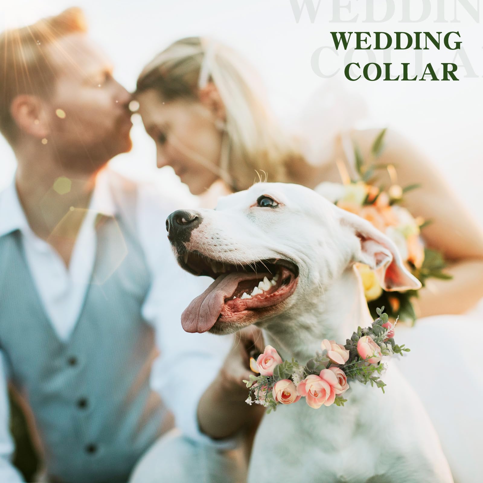 Honoson Dog Wedding Flower Collar Dog Pink Floral Attire Wreath Bow For Female Pets Cats Dog Valentine'S Day Party Photo Props(Pink, Fresh, Large)