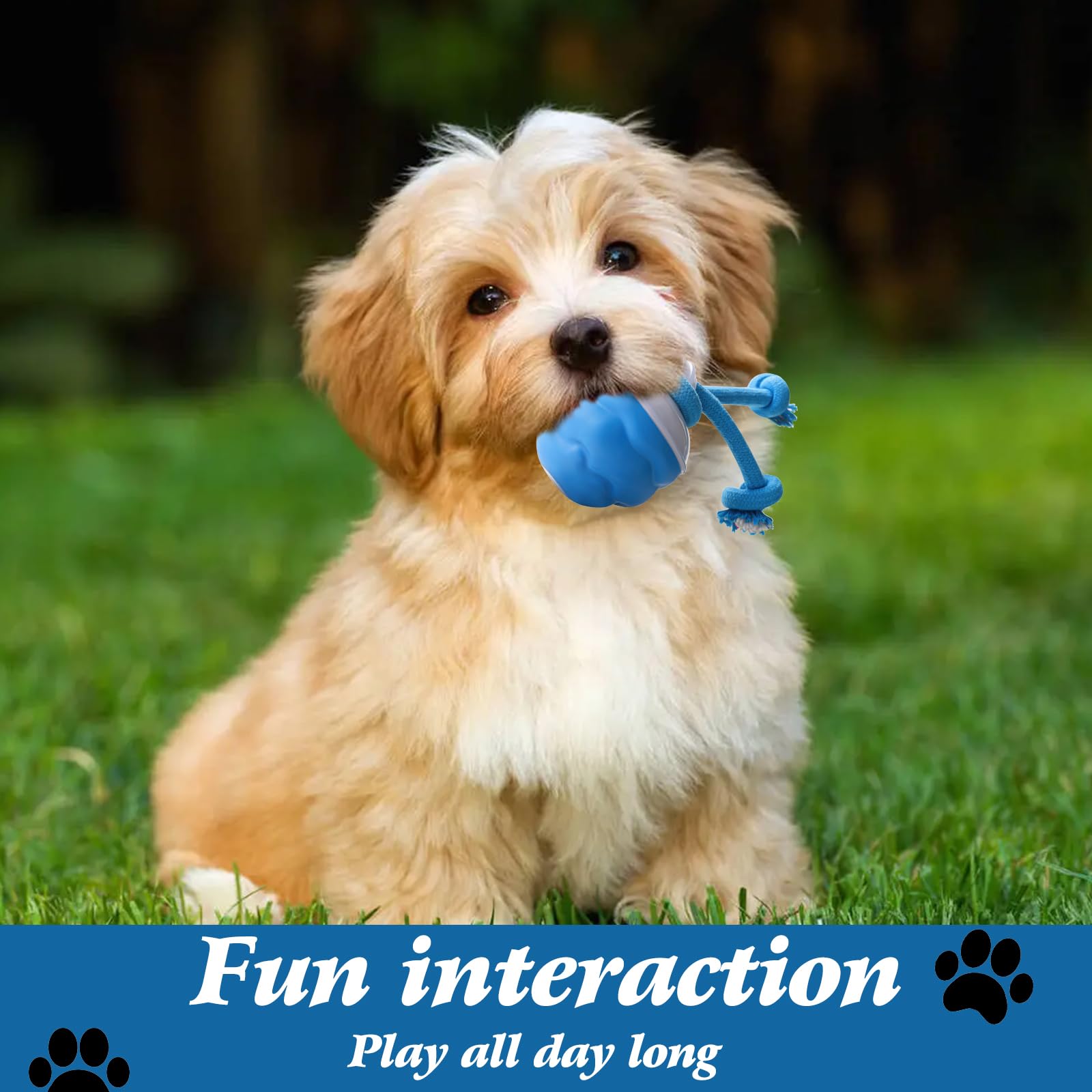 Cotgot Barkzys Powertail 2.0 Interactive Dog Toy, Automatic Rolling Ball With Squeaker, For Small Medium Large Dogs