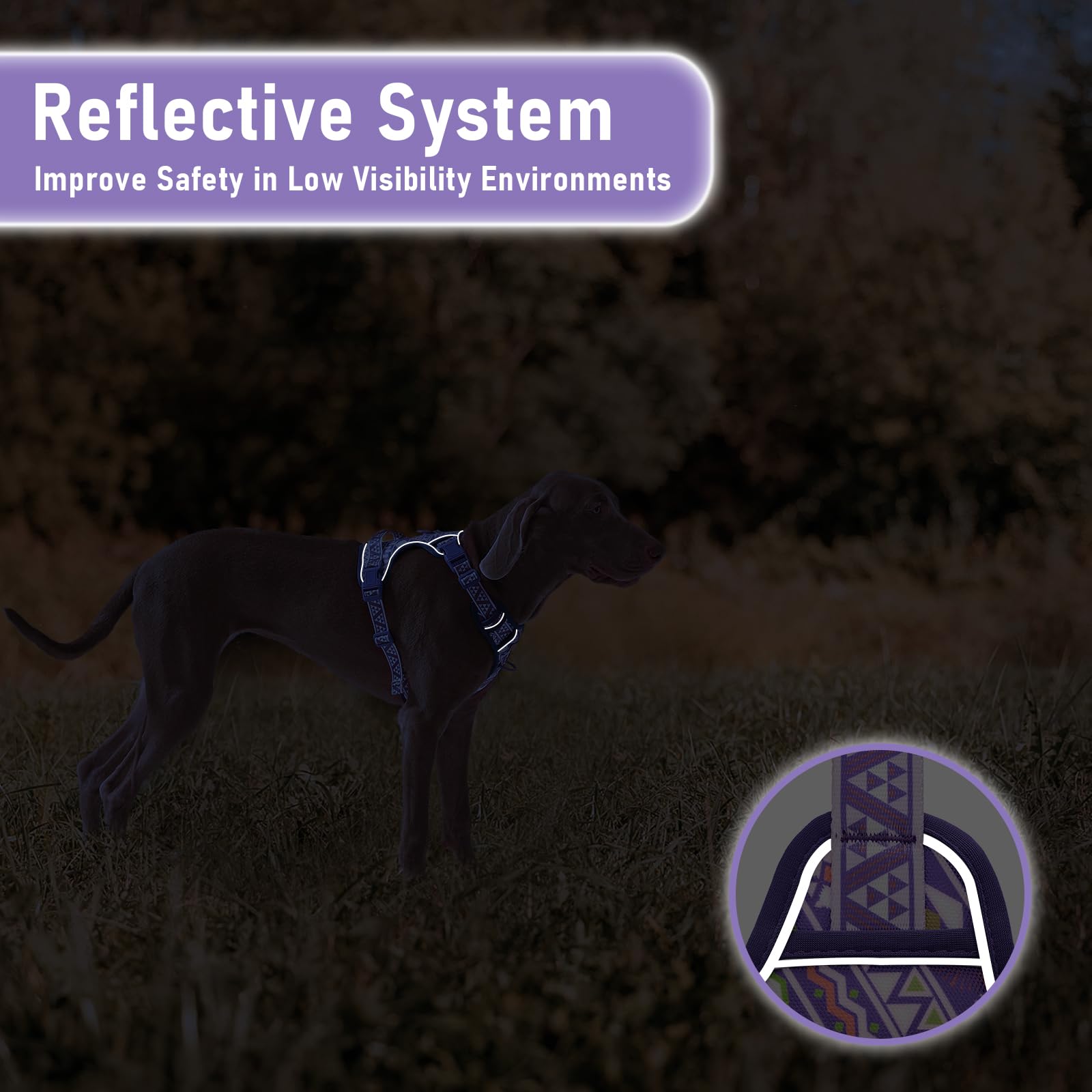 Small Dog No Pull Dog Harness, Pet Harness With Id Card Reflective Strip Soft Padded Handle, Adjustable Vest Harness For Walking