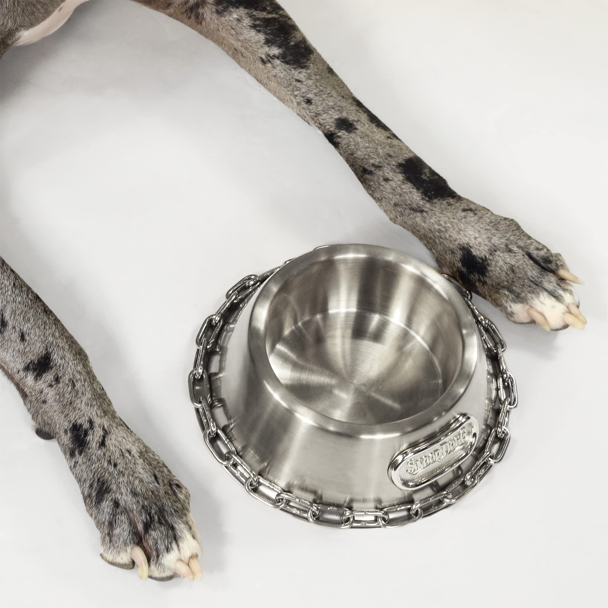 Snoop Doggies Doggs Deluxe Off The Chain Pet Bowl, Steel, Large