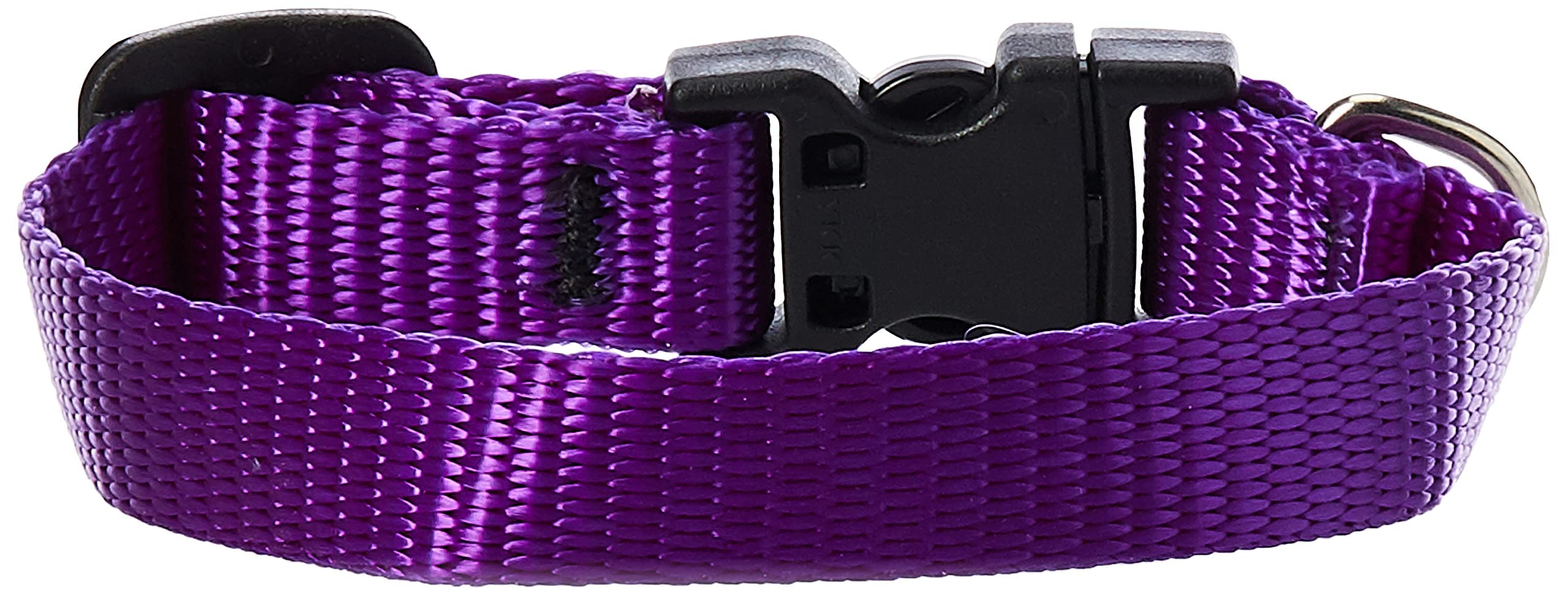 LupinePet Basics 1/2'' Purple 6-9'' Adjustable Collar for Extra Small Dogs