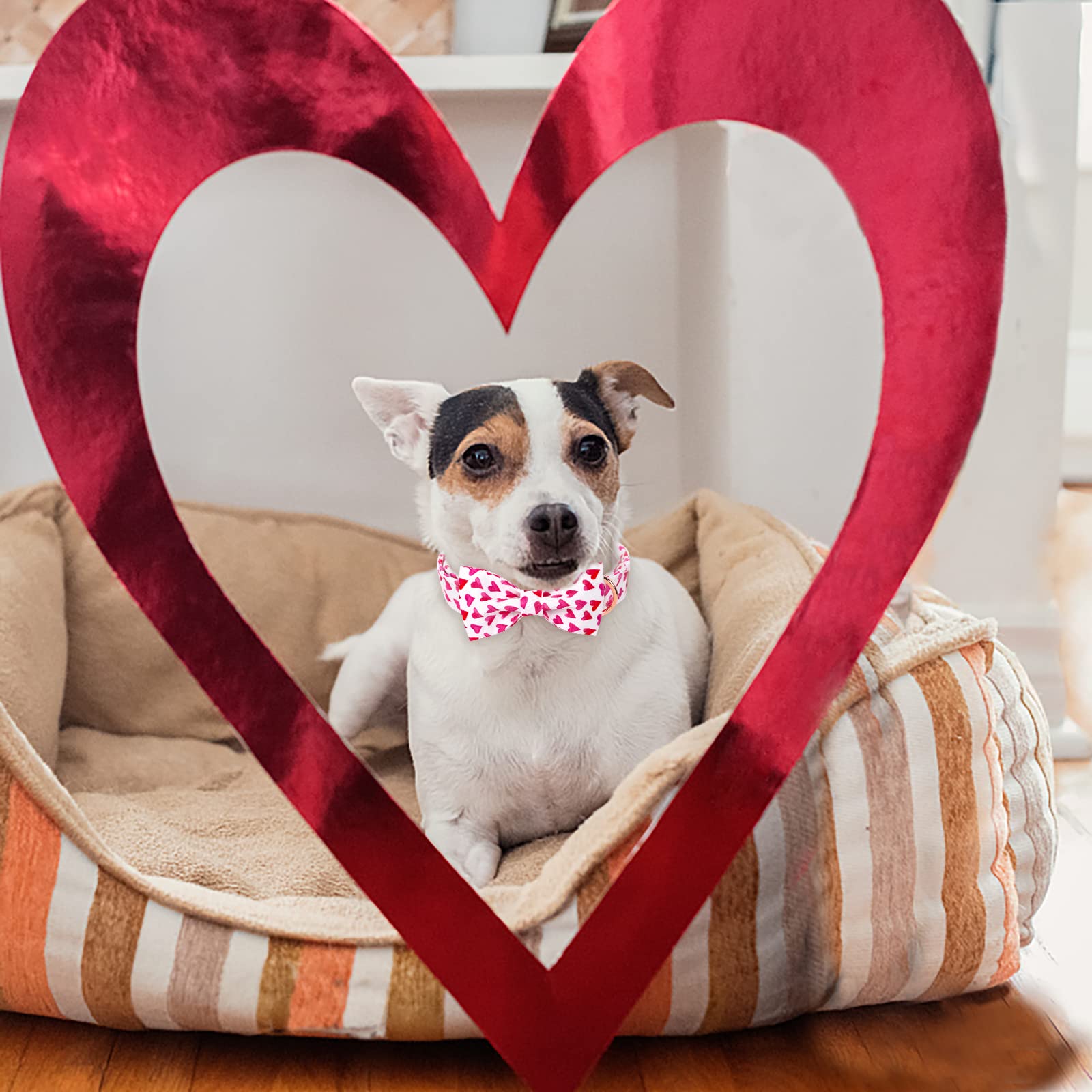 Babole Pet Valentine'S Day Dog Collar With Bow Tie, White Red Love Male Dog Collar With Safety Metal Buckle Adjustable Puppy Collars For Small Medium Large Boy & Girl Dog,M-Neck 13.5'-22'