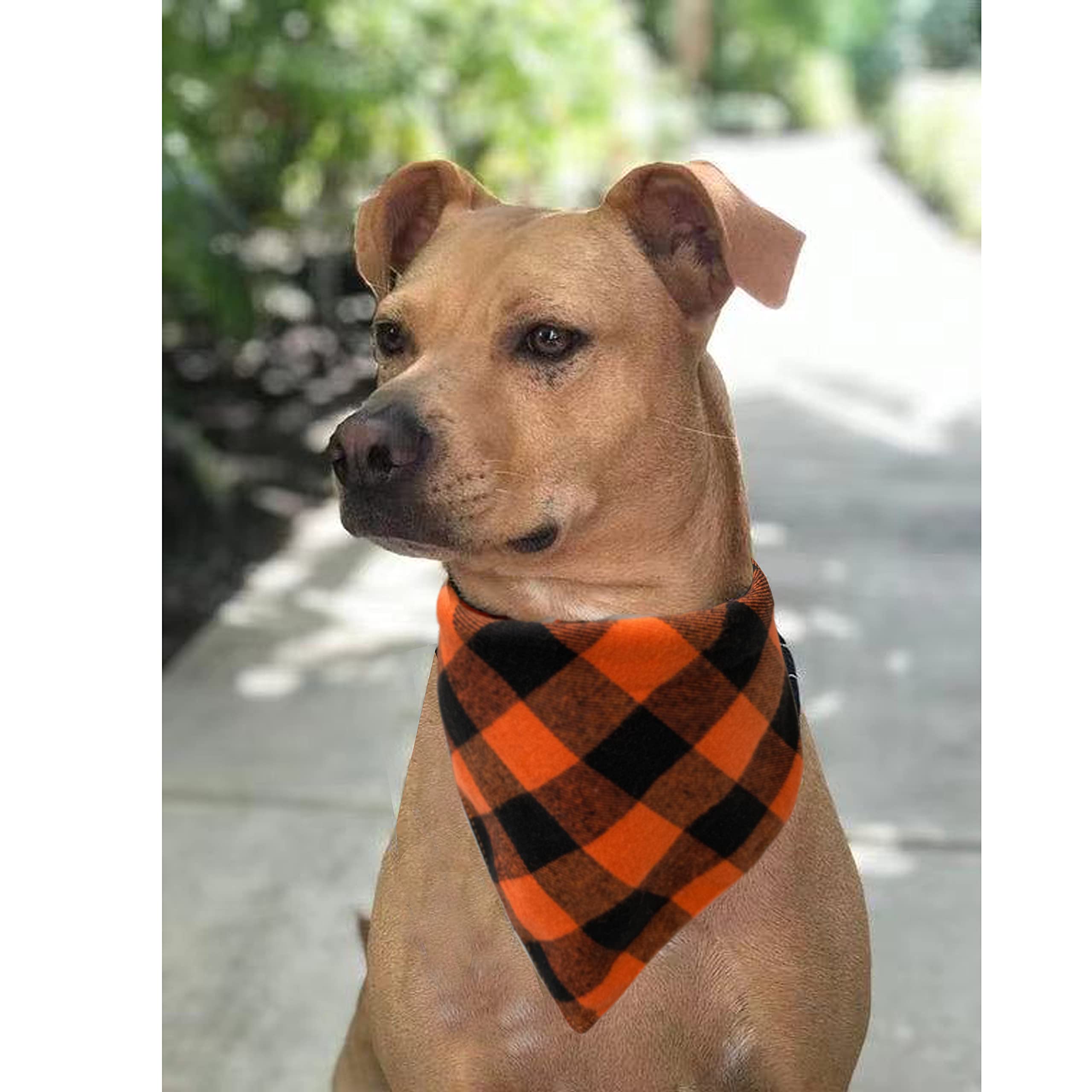 Realeaf Thanksgiving Fall Dog Bandanas 2 Pack, Orange Plaid Pet Scarf For Boy And Girl, Premium Durable Fabric, Holiday Halloween Bandana For Small And Medium Dogs (Small)