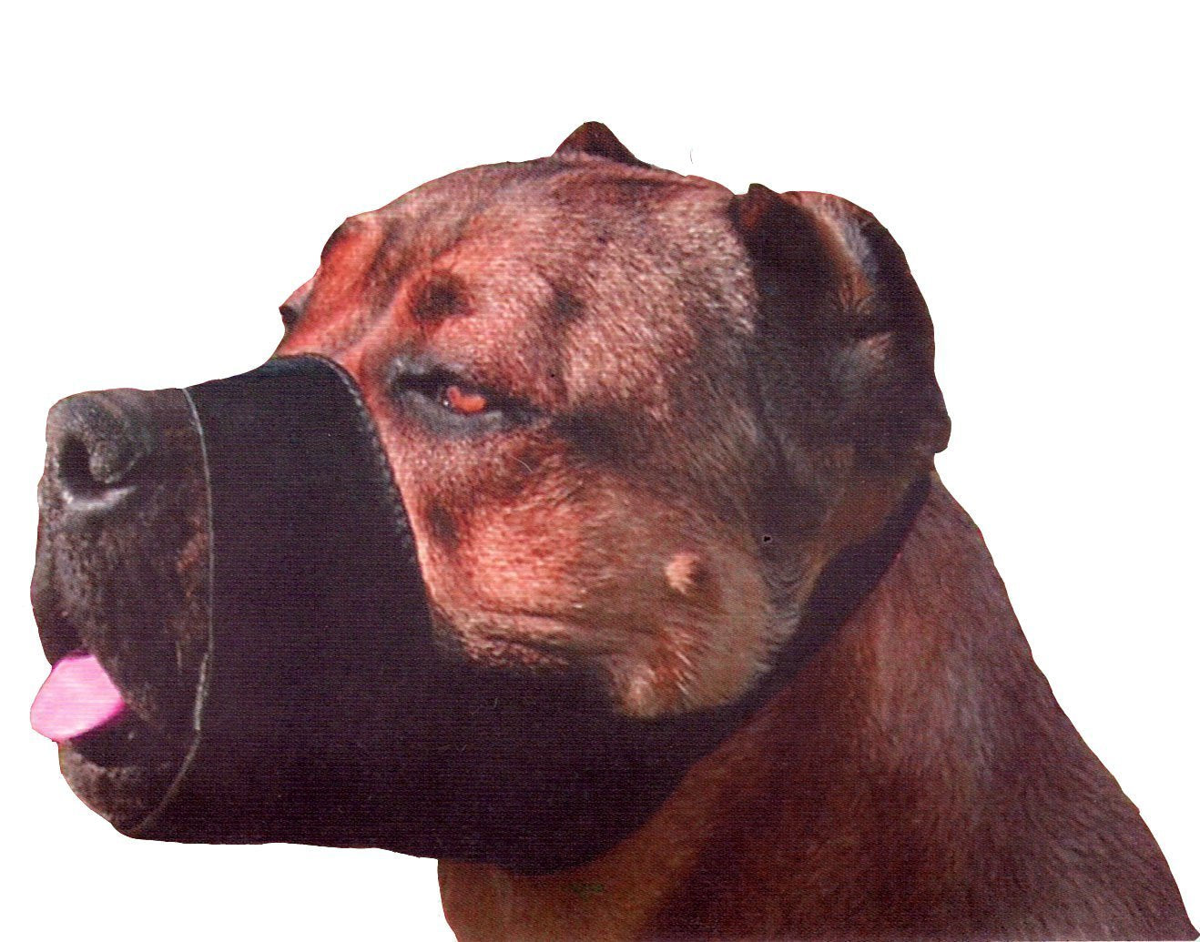 Quick Fit Nylon Dog Muzzle, Large Fits Snout Size 9'-10', Black