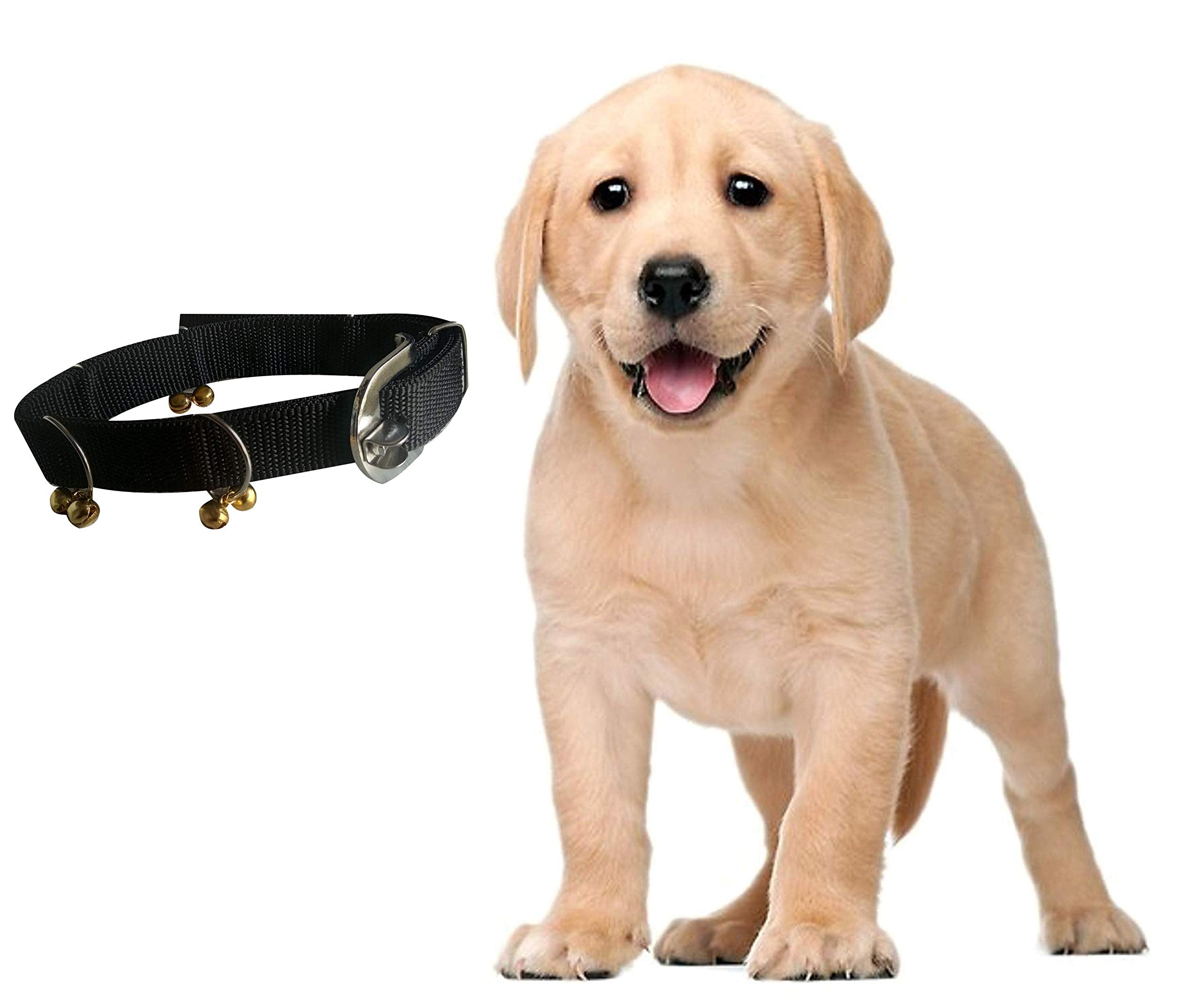S.Blaze Black Colour Nylon 1/2Inch Bell Collar Chain Belt For Puppies, Dogs And Cats.