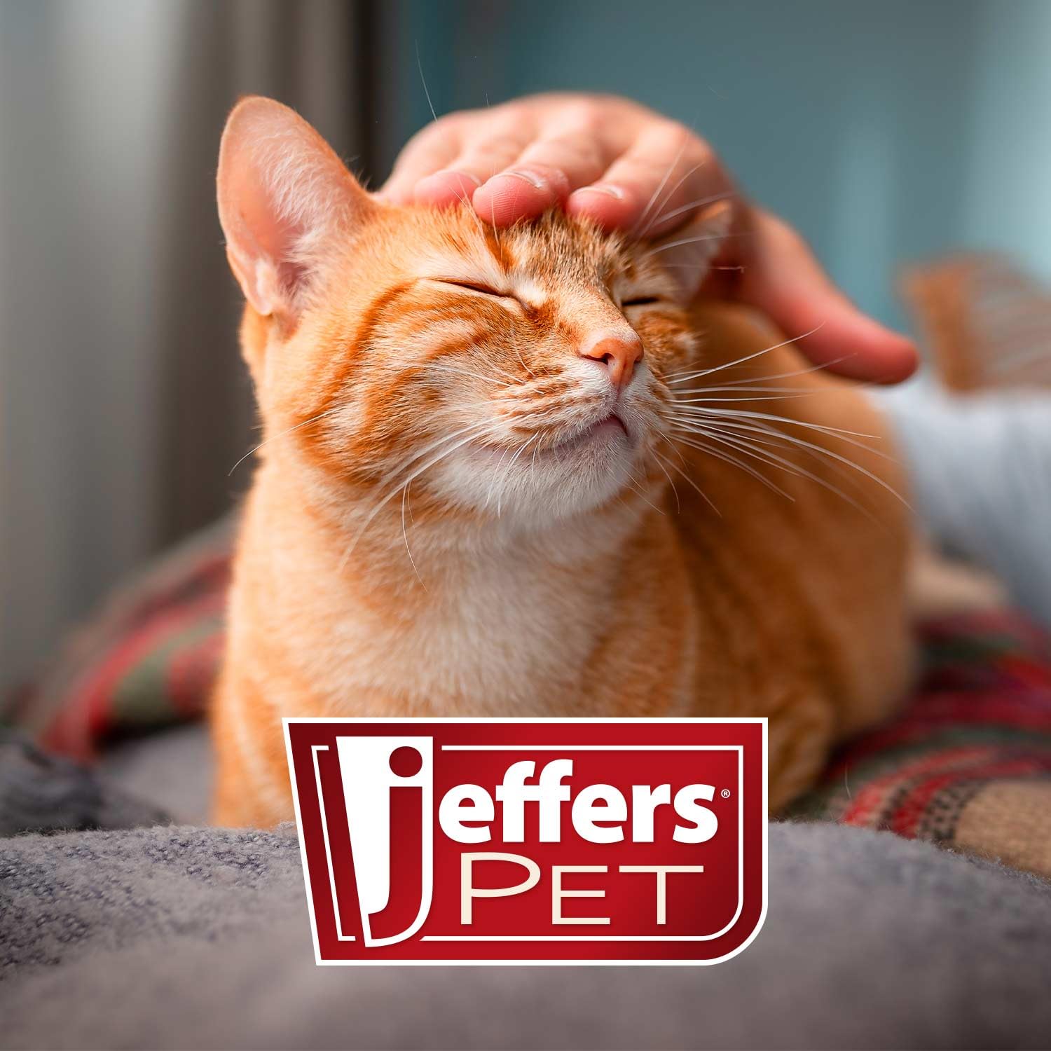 Jeffers Pet Vanilla Walnut Conditioning Shampoo For Dogs & Cats, 1 Gallon - Moisturizing, Soap Free Formula With Coconut & Vanil