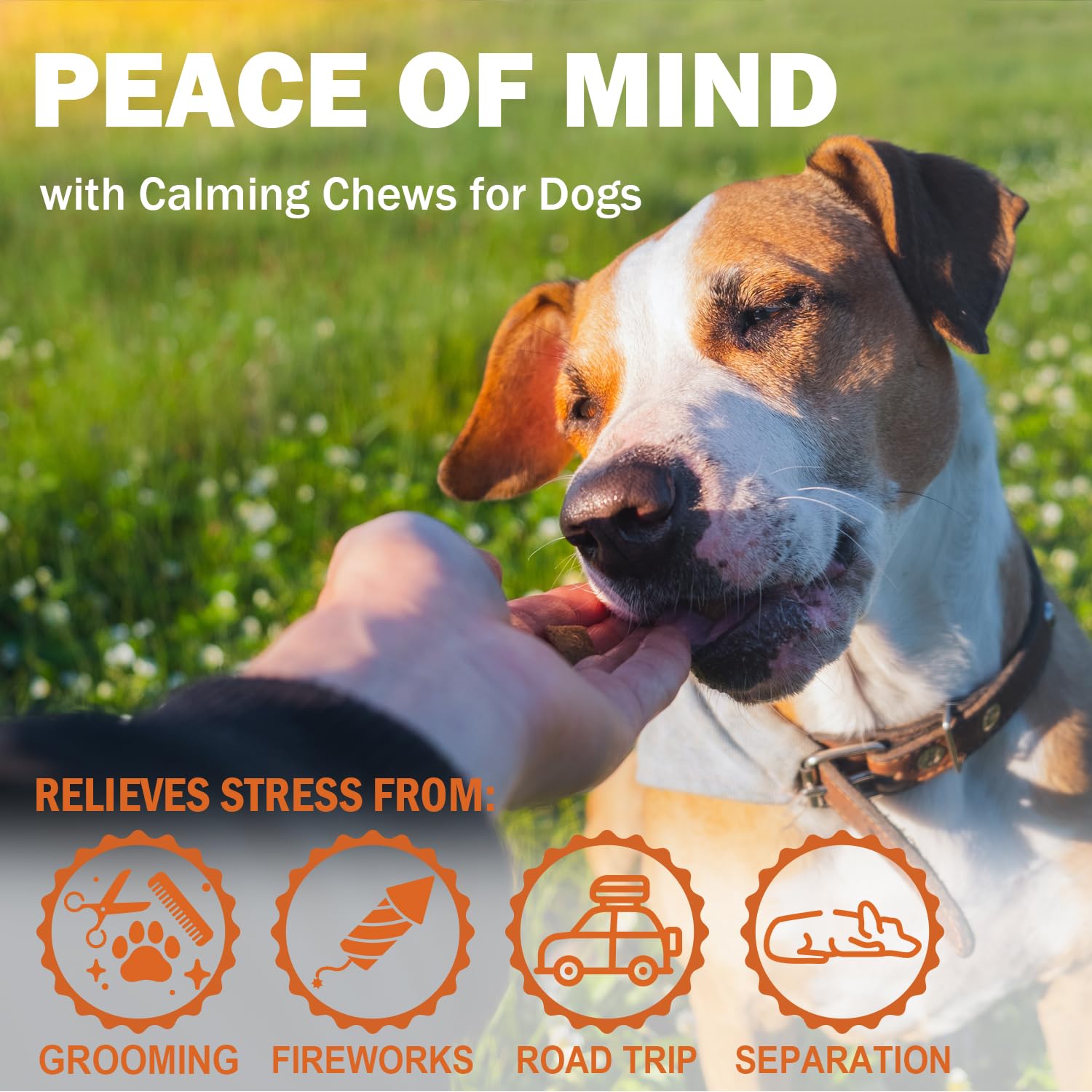 Hemp Calming Chews for Dogs - Duck Flavor Soft Chews - Dog Calming Treats Supplement for Storm Anxiety, Sleep, Relaxing, Separat