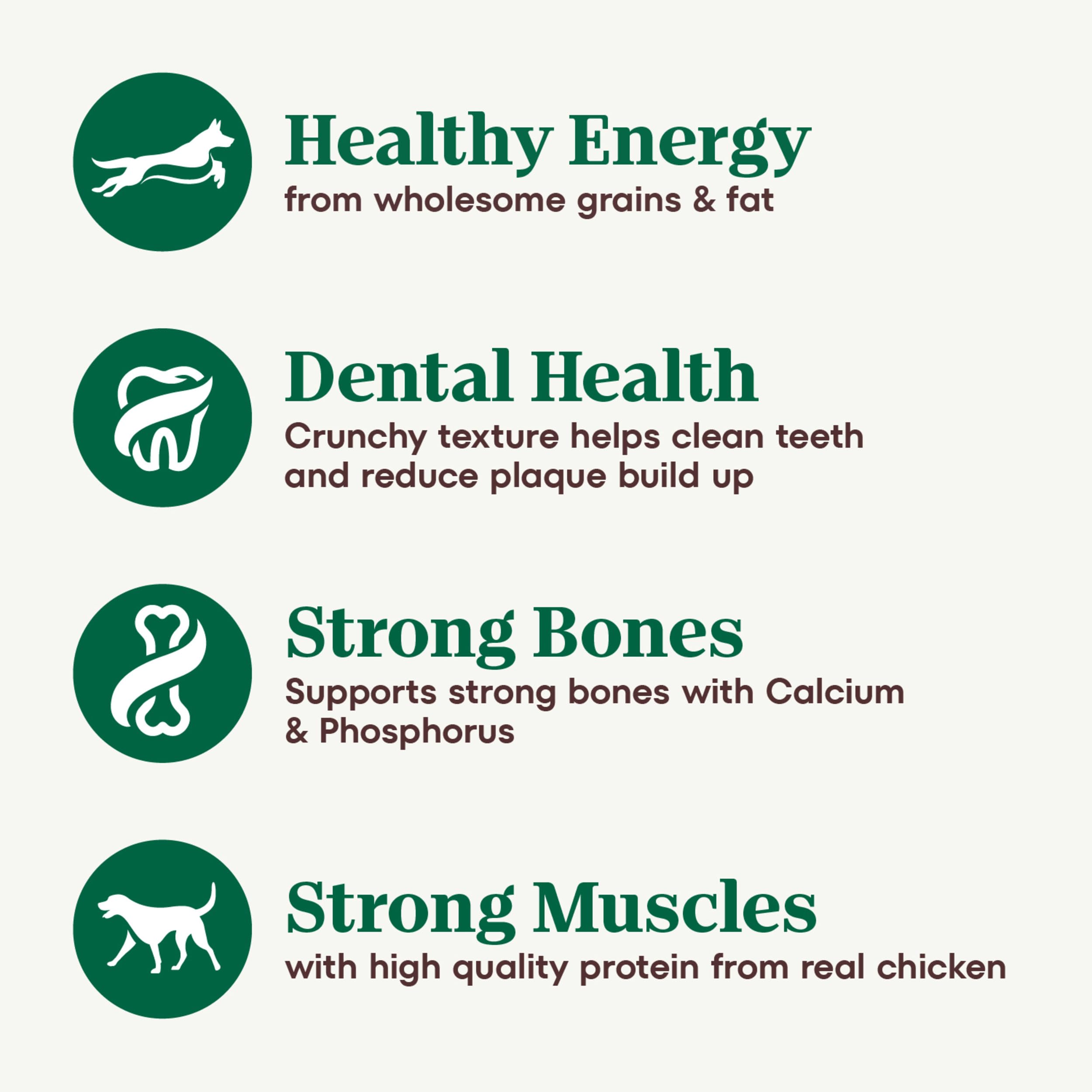 Nutro Natural Choice Senior Dry Dog Food, Chicken and Brown Rice Recipe, 13 lbs.