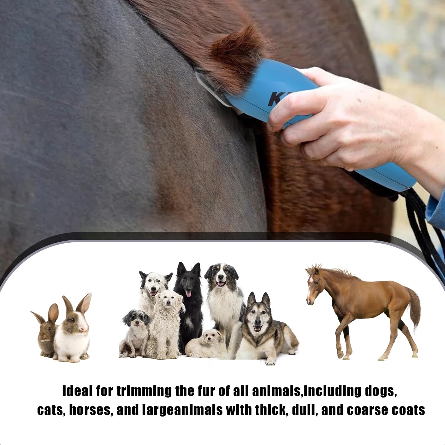 Wide Blade 4Fw, Pet Dog Grooming Blade Compatible With Andis,Oster A5,Wahl Km10 Clippers, Grooming Wide Blade, A5 Type Blade,For