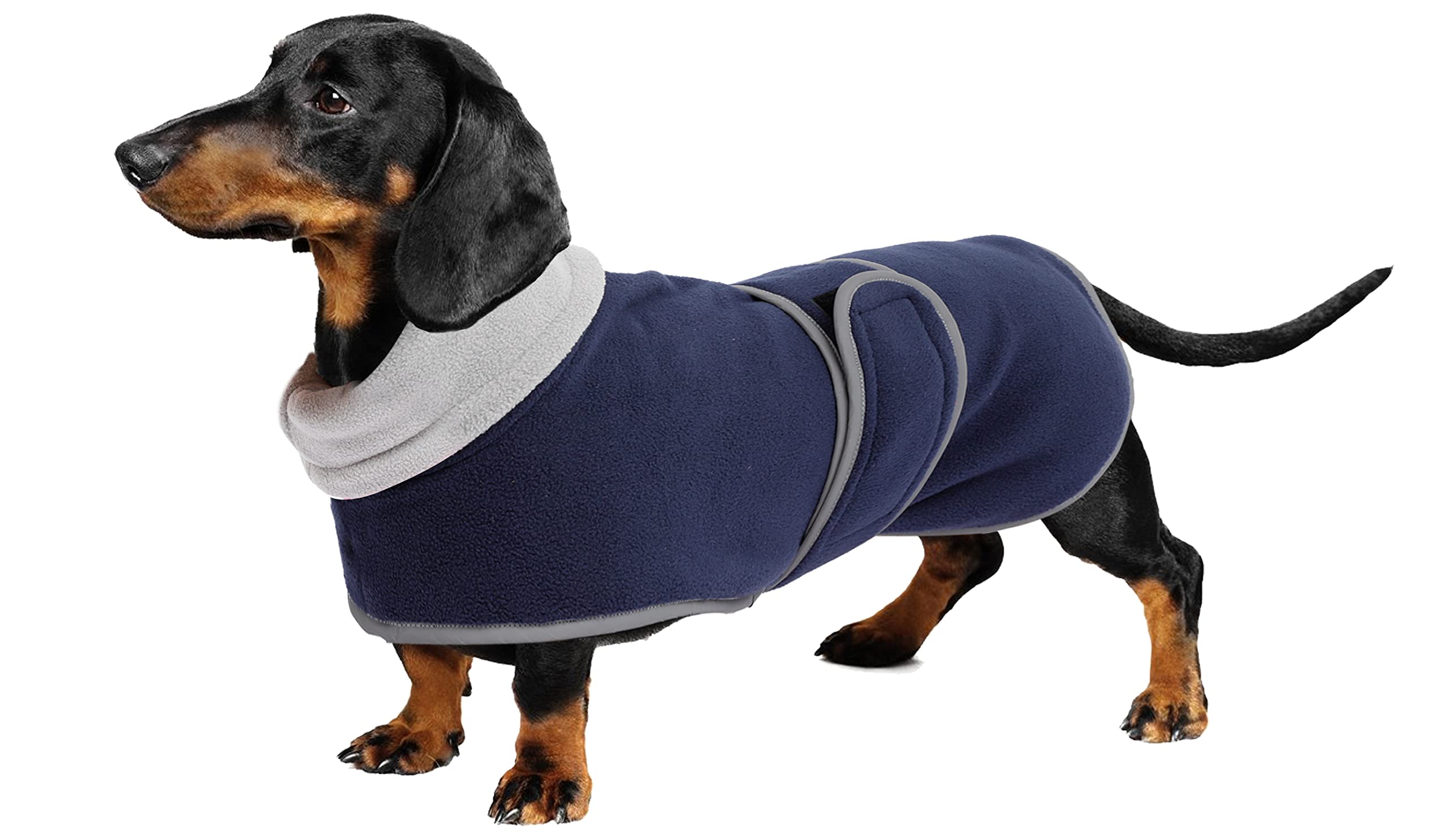 Dog Jacket, Dog Coat Perfect For Dachshunds, Dog Winter Coat With Padded Fleece Lining And High Collar, Dog Snowsuit With Adjustable Bands-Navy-M