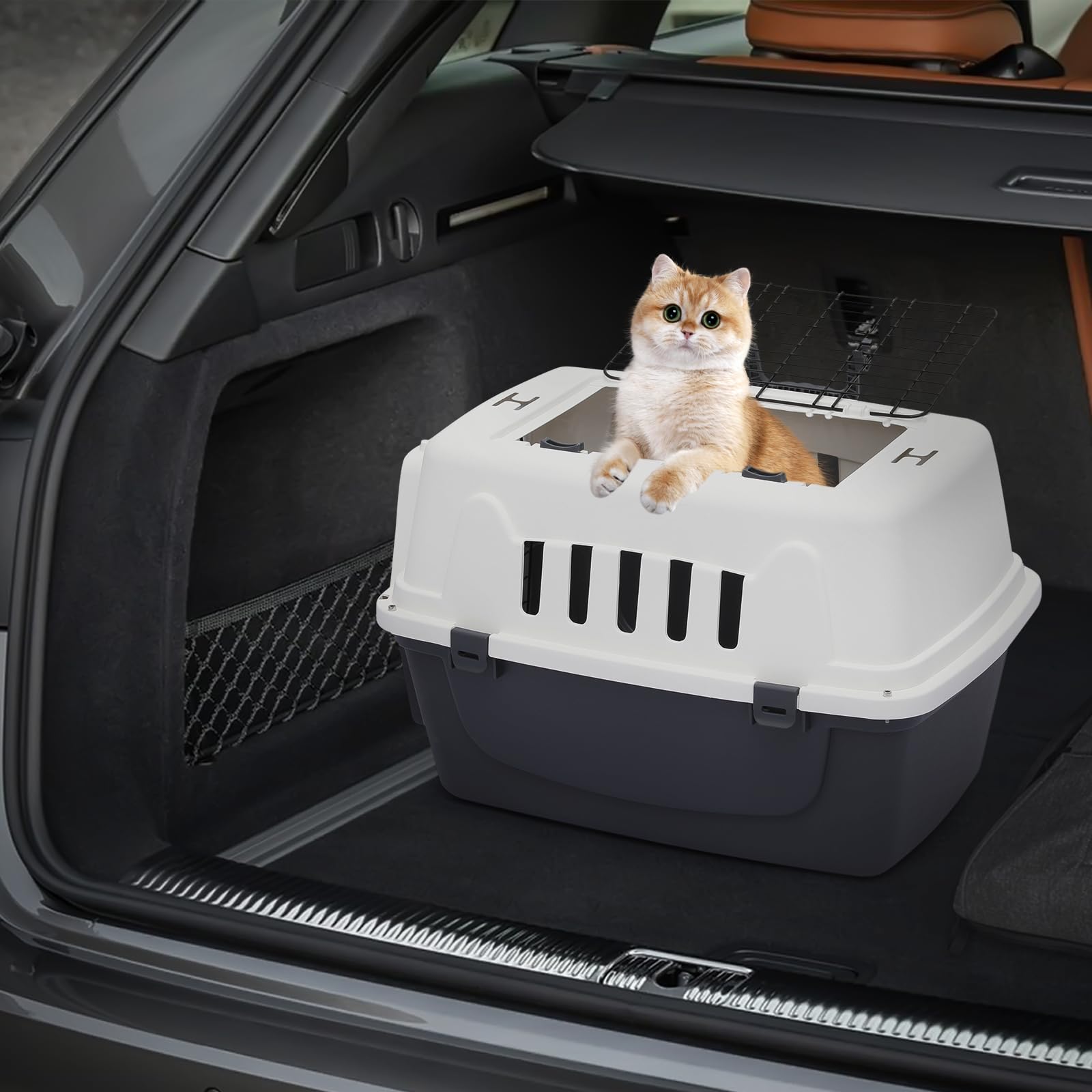 Monibloom 22-Inch Dog Crate Plastic 2-Door Top Loading Cat Carrier, Hard-Sided Dog Travel Carrier For Small Dogs And Cats, Venti