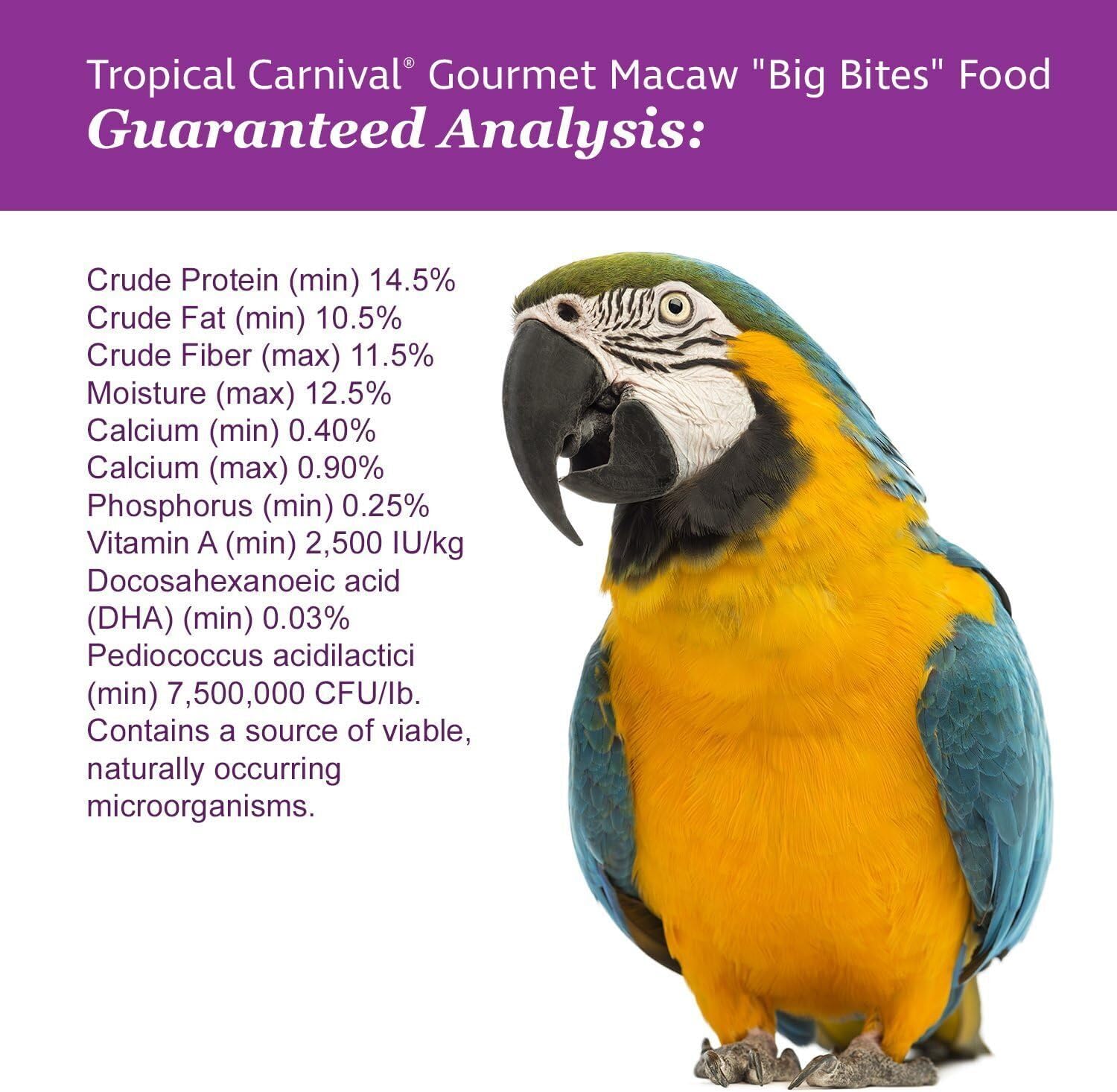 Tropical Carnival Gourmet Macaw Food Big Bites - Seeds, Veggies, Fruits & Nuts with Probiotics - 14 lb