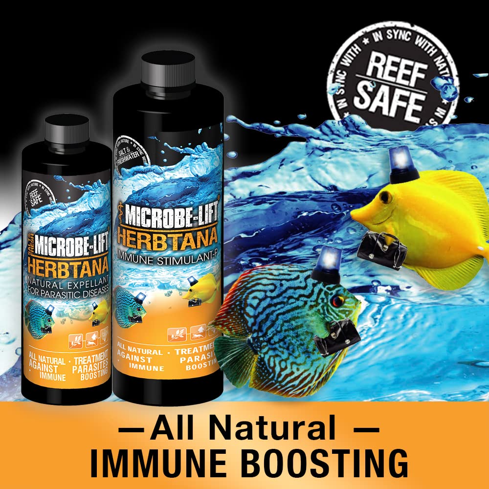 MICROBE-LIFT Herbtana Fish Medicine, Immune Booster and Parasite Treatment for Aquarium Fish Health, Ich Treatment, Use in Fresh