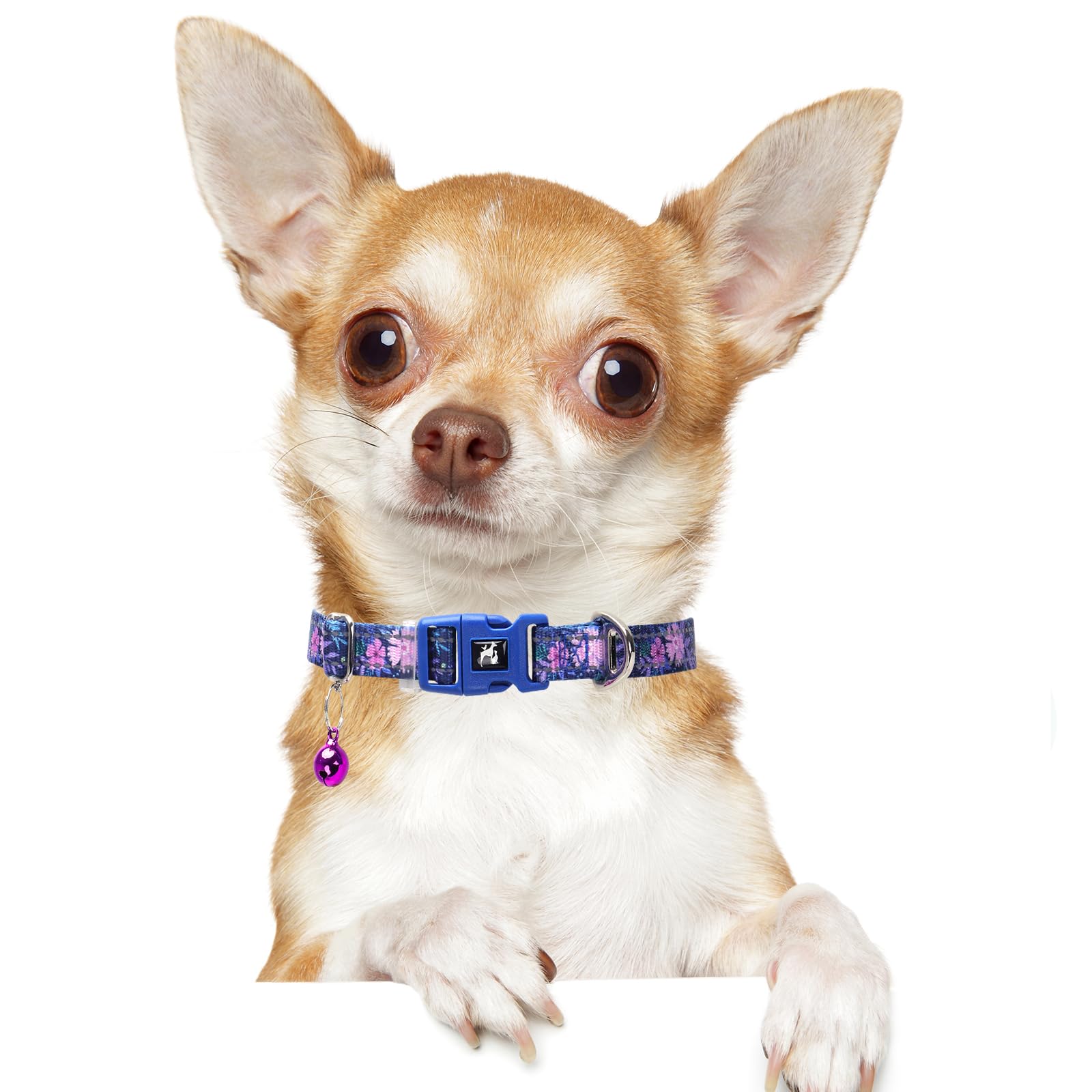 Floral Small Dog Collar With Bell For Small Dogs, Adjustable Flower Print Collar For Chihuahua Pomeranian, Reflective Soft Comfo
