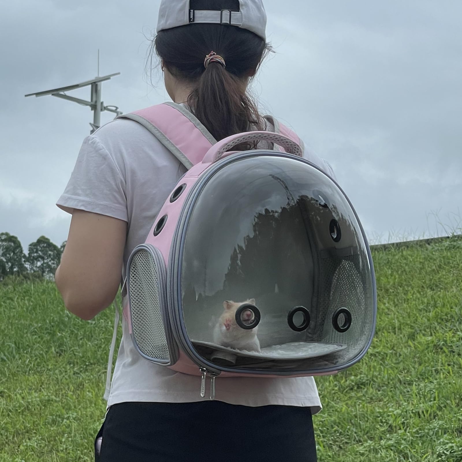 Ioview Portable Travel Pet Backpack Carrier Hamster Bag Guinea Pig Bird Small Dog Cat Backpack Turtle Carrier Rabbit Cage Rabbit