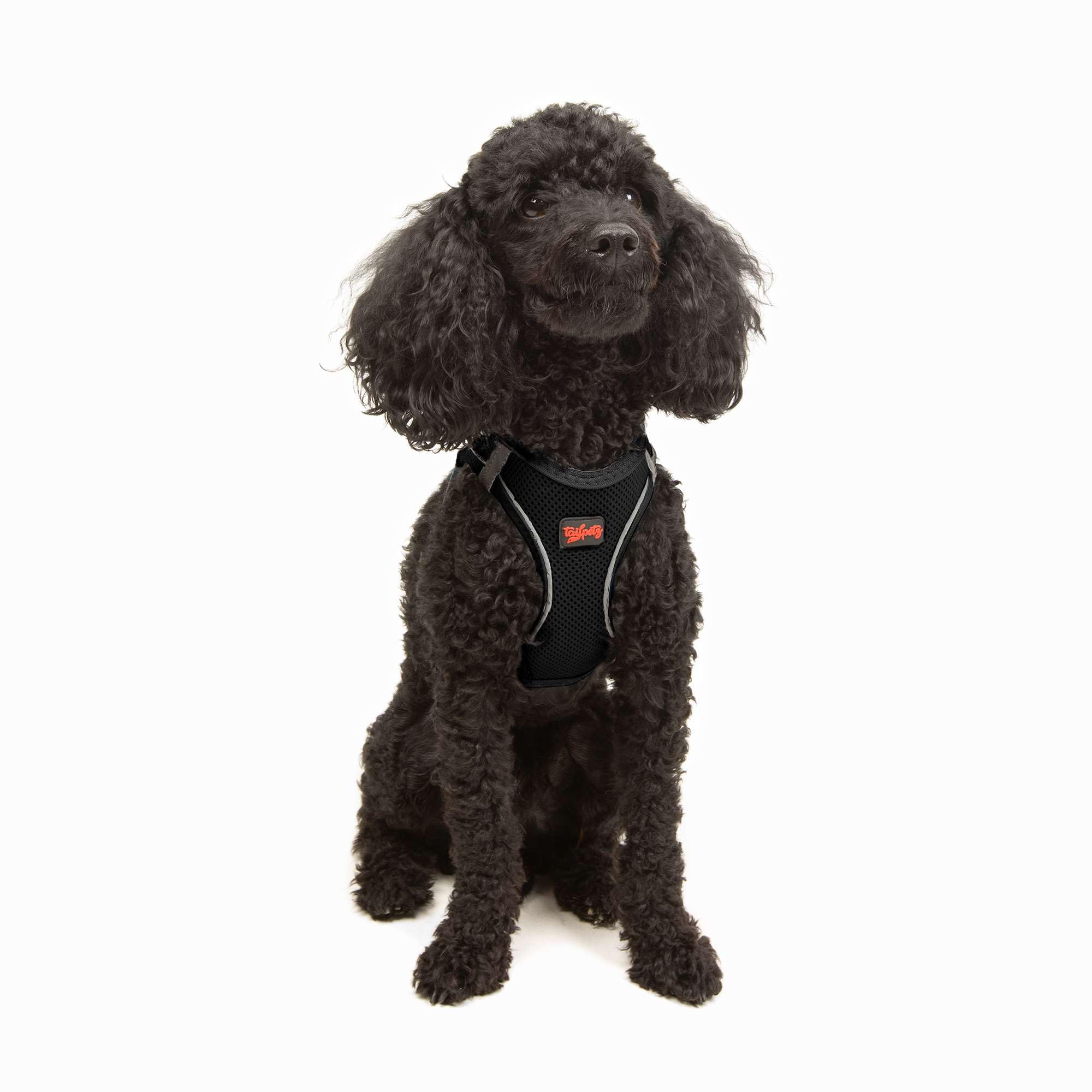 Tailpetz Xs Dog Harness Black, Adjustable Step in No Pull Dog Harness Small Sized Dog, Reflective Puppy Harness for Puppy Traini