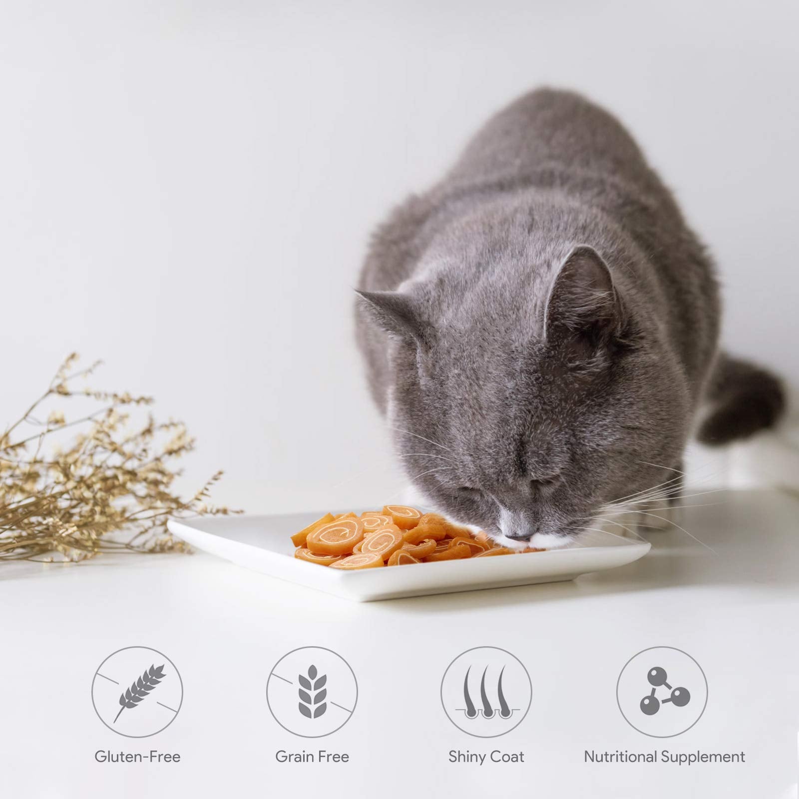 Jungle Calling Soft Chicken & Codfish Cat & Dog Treats, High Protein Pet Snacks for Small & Medium Dogs & Cats, Chewy Chicken Su