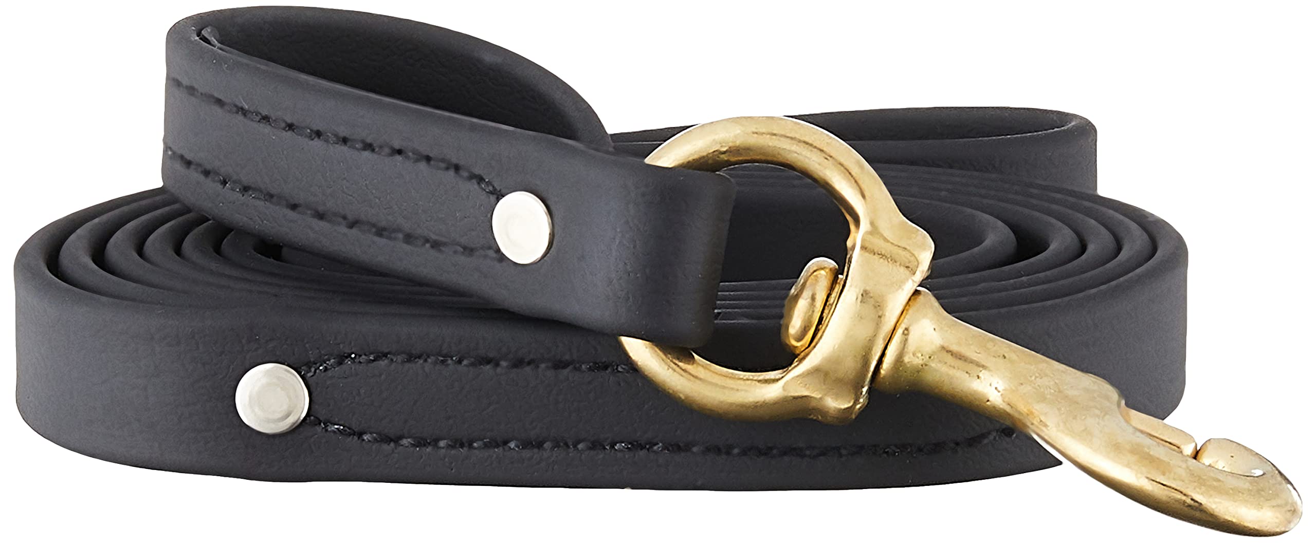 Ray Allen Mfg Signature K9 Biothane Leash, 6-Feet X 3/4-Inch, Black